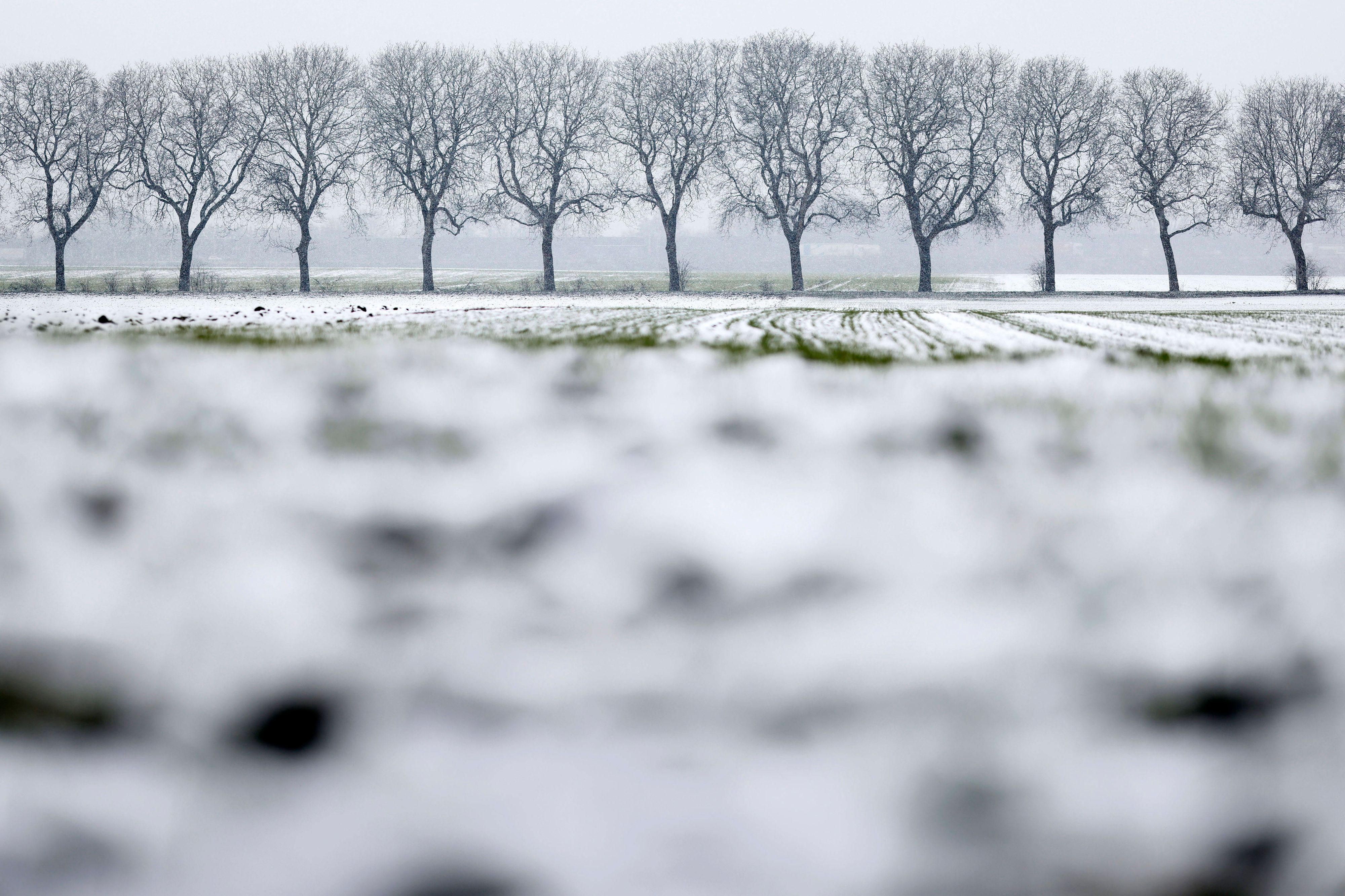 Bäume und Felder mit leichtem Schnee und Eis.