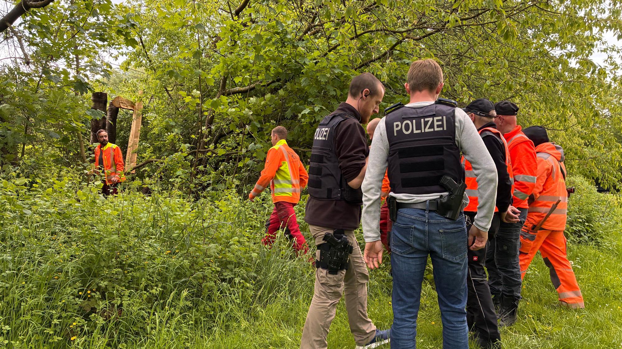 Ein auf die Oberleitung gestürzter Baumstamm hat am Dienstagvormittag erhebliche Störungen auf der KVB-Linie 7 verursacht