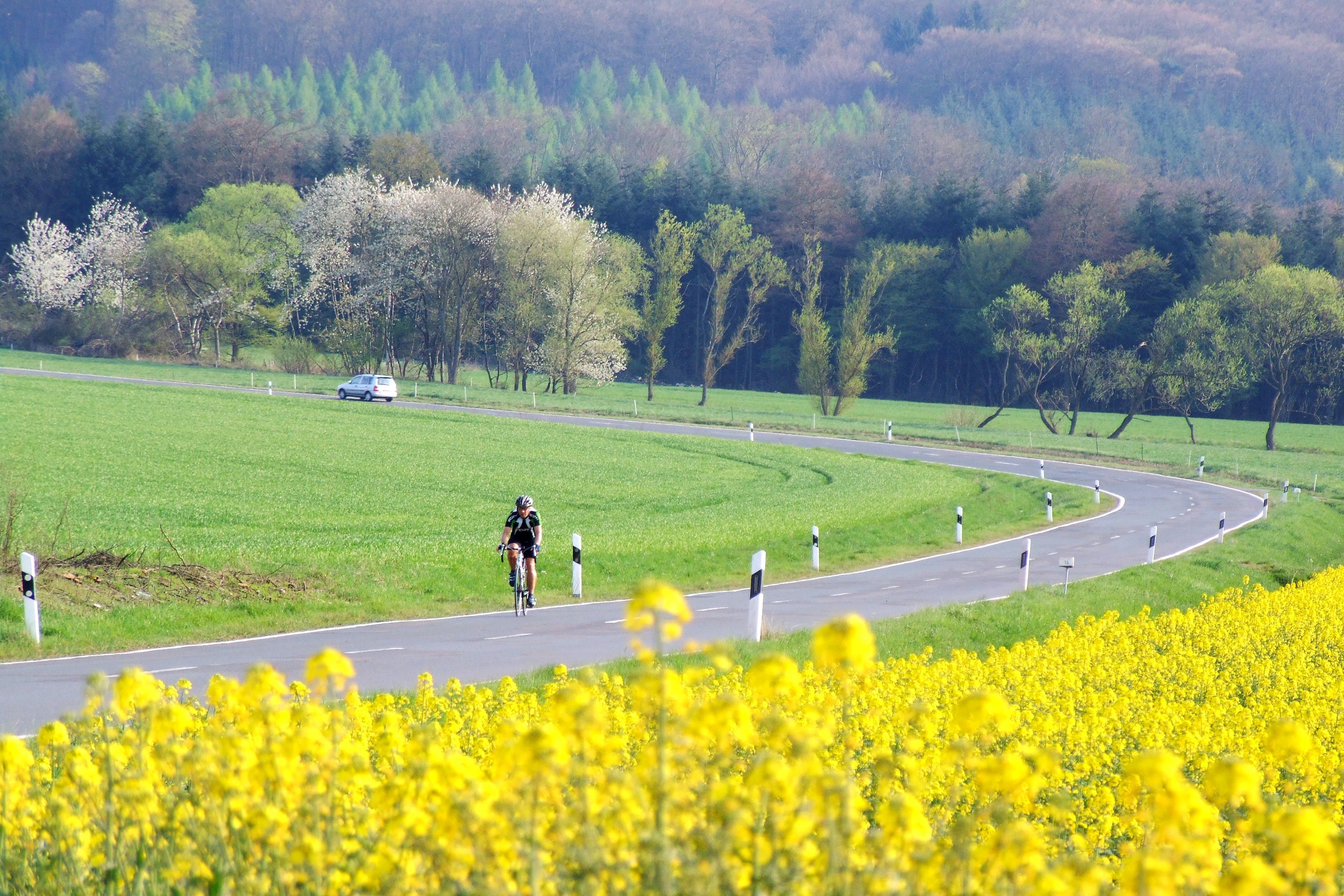 Ein Fahrradfahrer auf einer Landstraße in der Eifel (Symbolfoto).