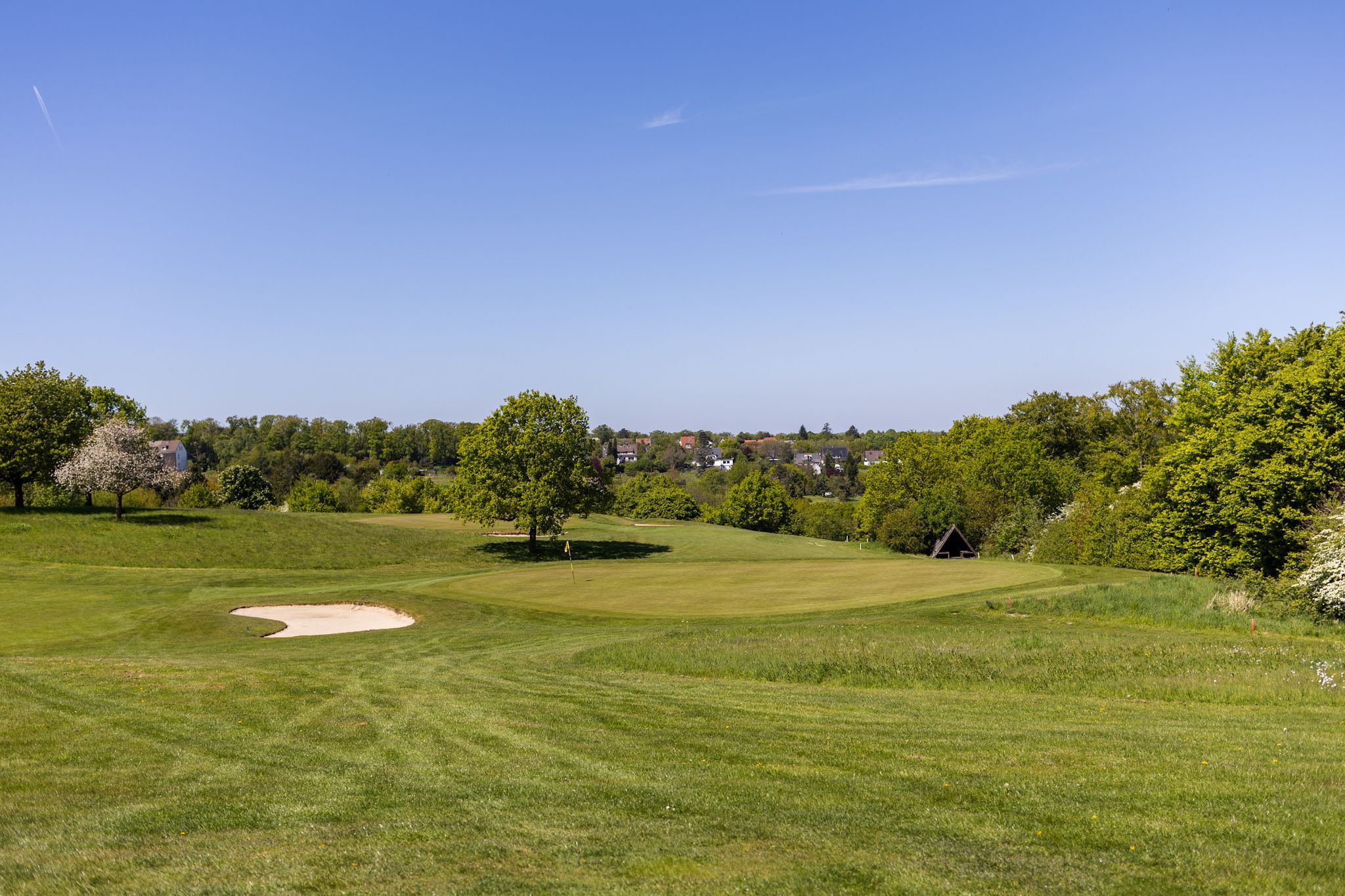 Blick auf einen Golfplatz mit vielen Bäumen und Flächen mit längeren Gräsern.