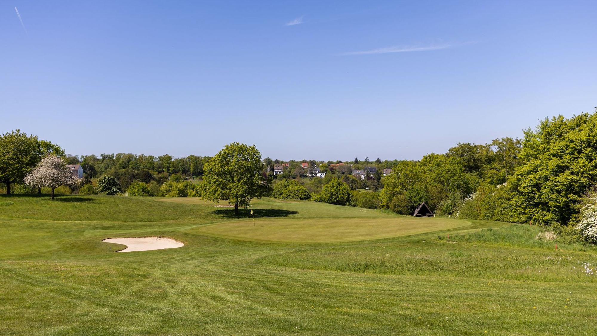 Blick auf einen Golfplatz mit vielen Bäumen und Flächen mit längeren Gräsern.