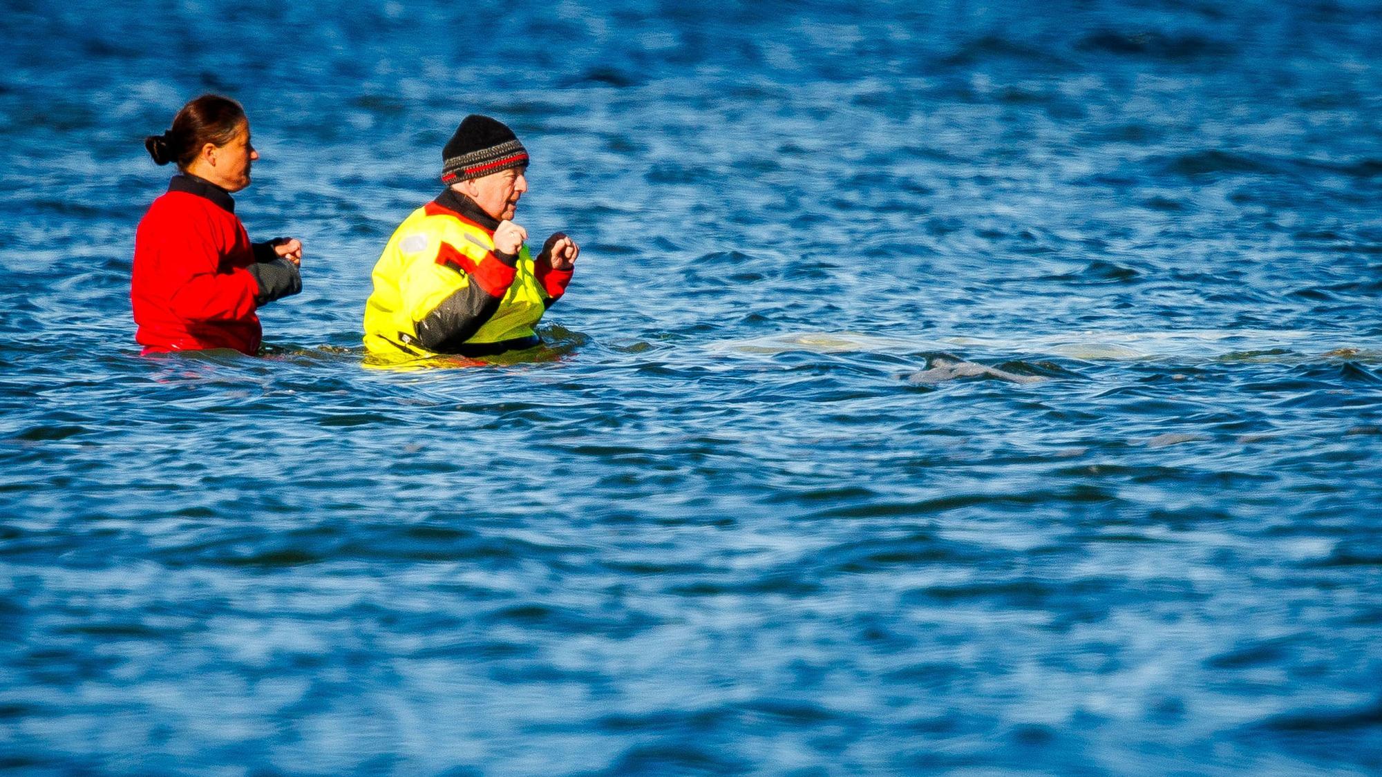 Mecklenburg-Vorpommerns Umweltminister Till Backhaus (SPD, r) geht durch das Wasser zum gestrandeten Buckelwal vor der Insel Poel.