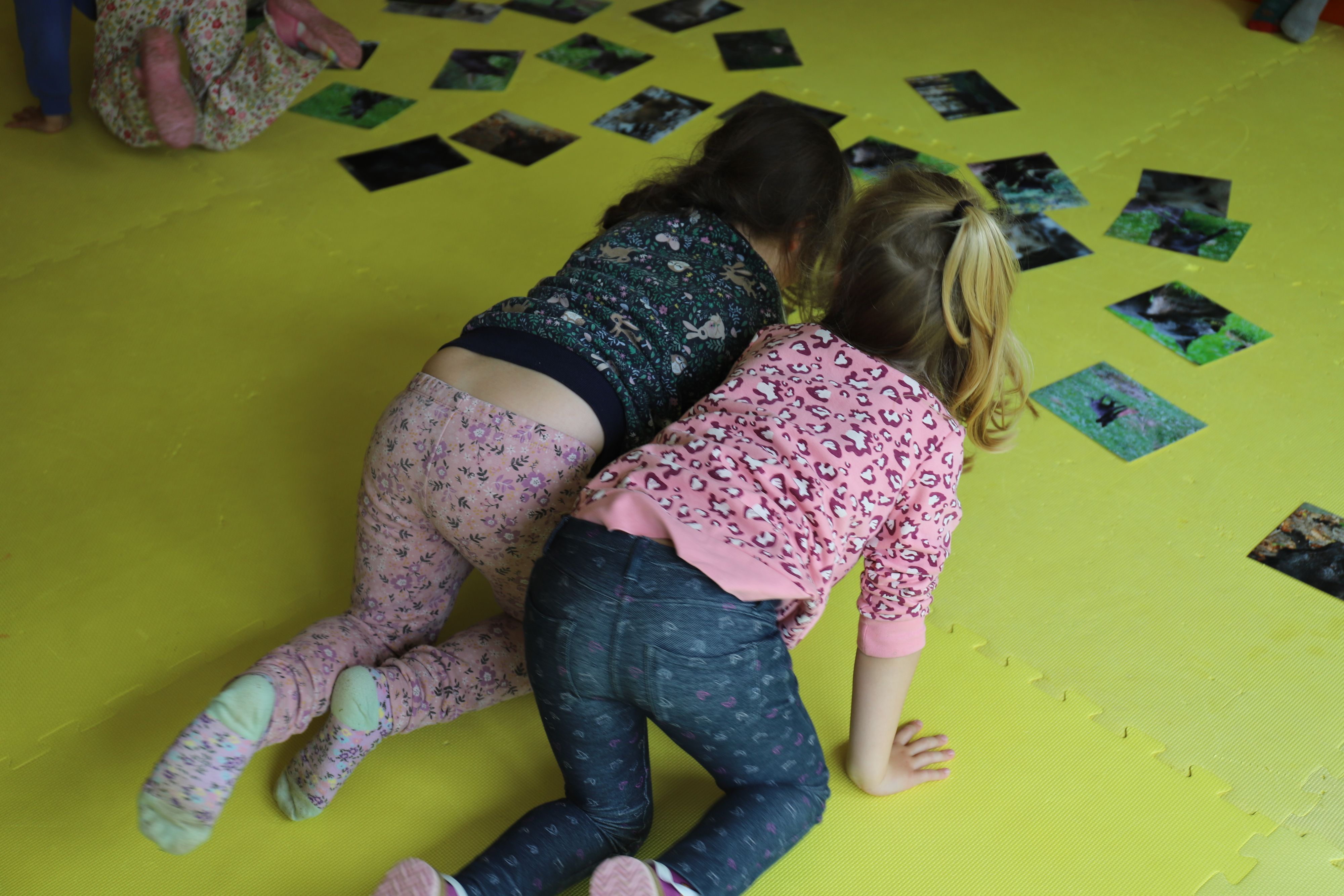 Das Anpirschen klappte so gut, dass Schmahl die Kinder in „sein“ Rudel aufgenommen hätte.