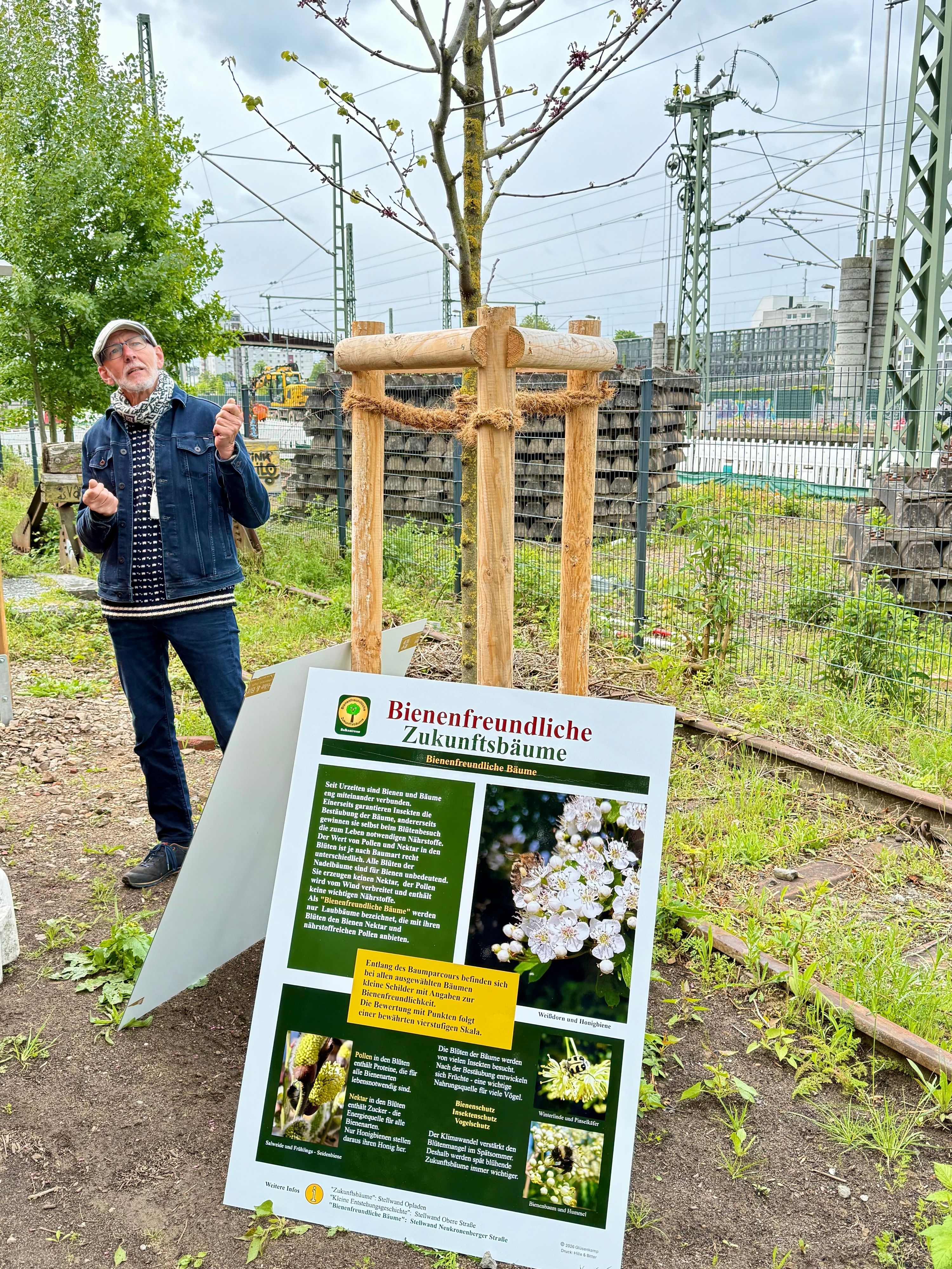 Bienenpate Reinhold Glüsenkamp steht an einem Judasbaum an der Balkantrasse.