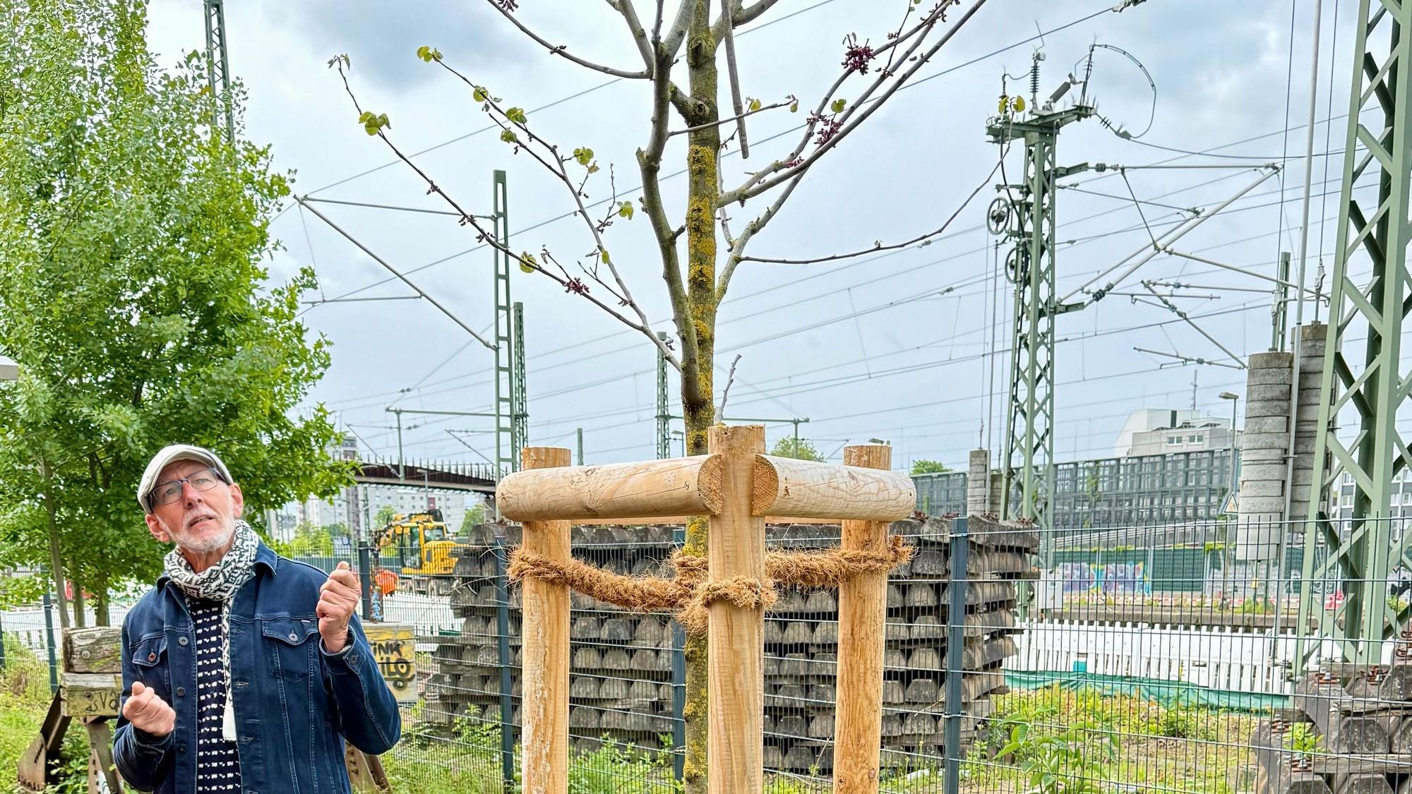 Bienenpate Reinhold Glüsenkamp steht an einem Judasbaum an der Balkantrasse.