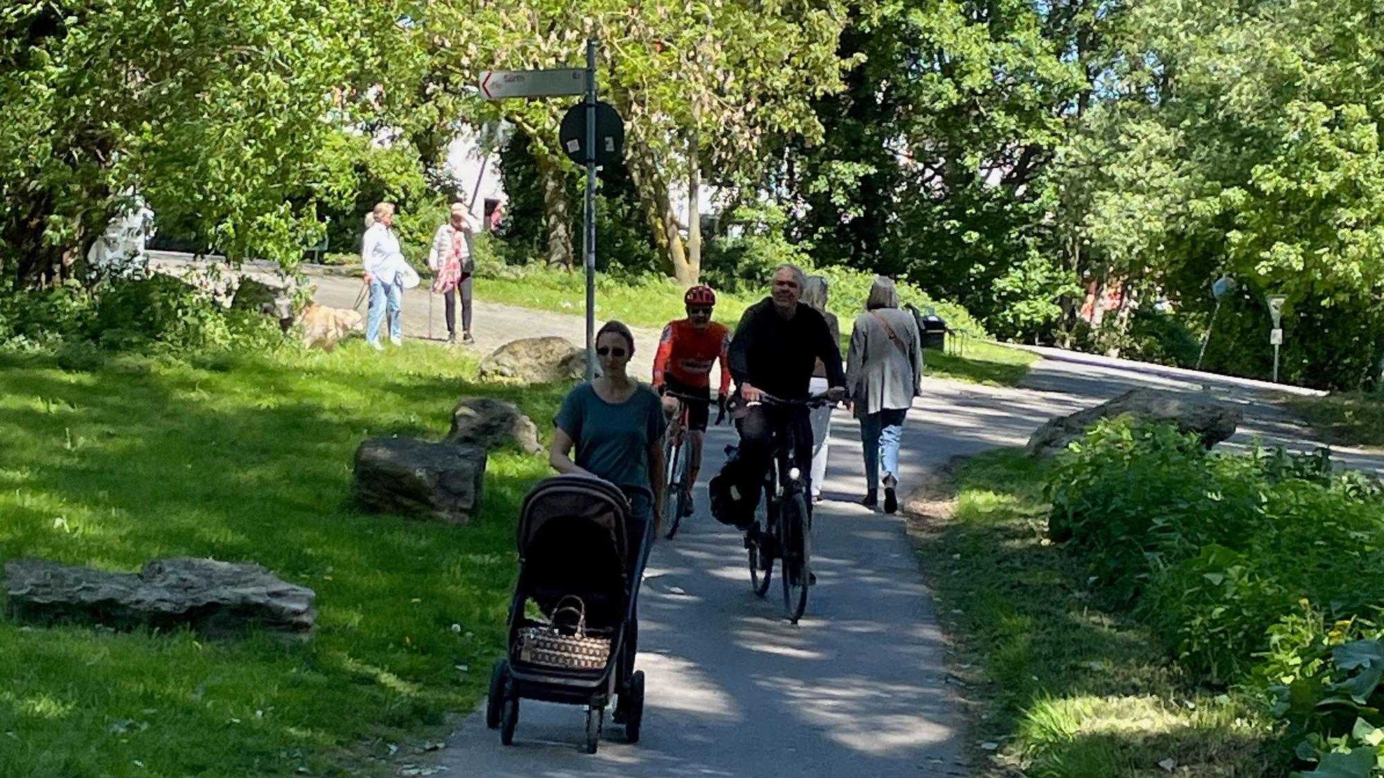 Radfahrer, Fußgänger und eine Frau mit Kinderwagen sind auf einem schmalen Radweg in einem Wald unterwegs.
