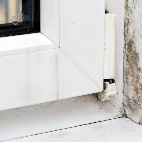 Schimmel am Fenster einer Wohnung