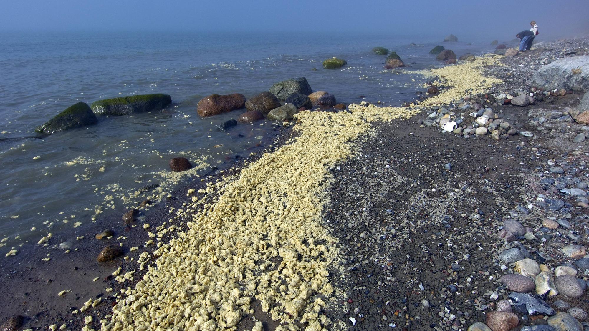 2010 wurde auf der Insel Rügen am Strand auf etwa 18 Kilometern Paraffin-Stücke entdeckt.