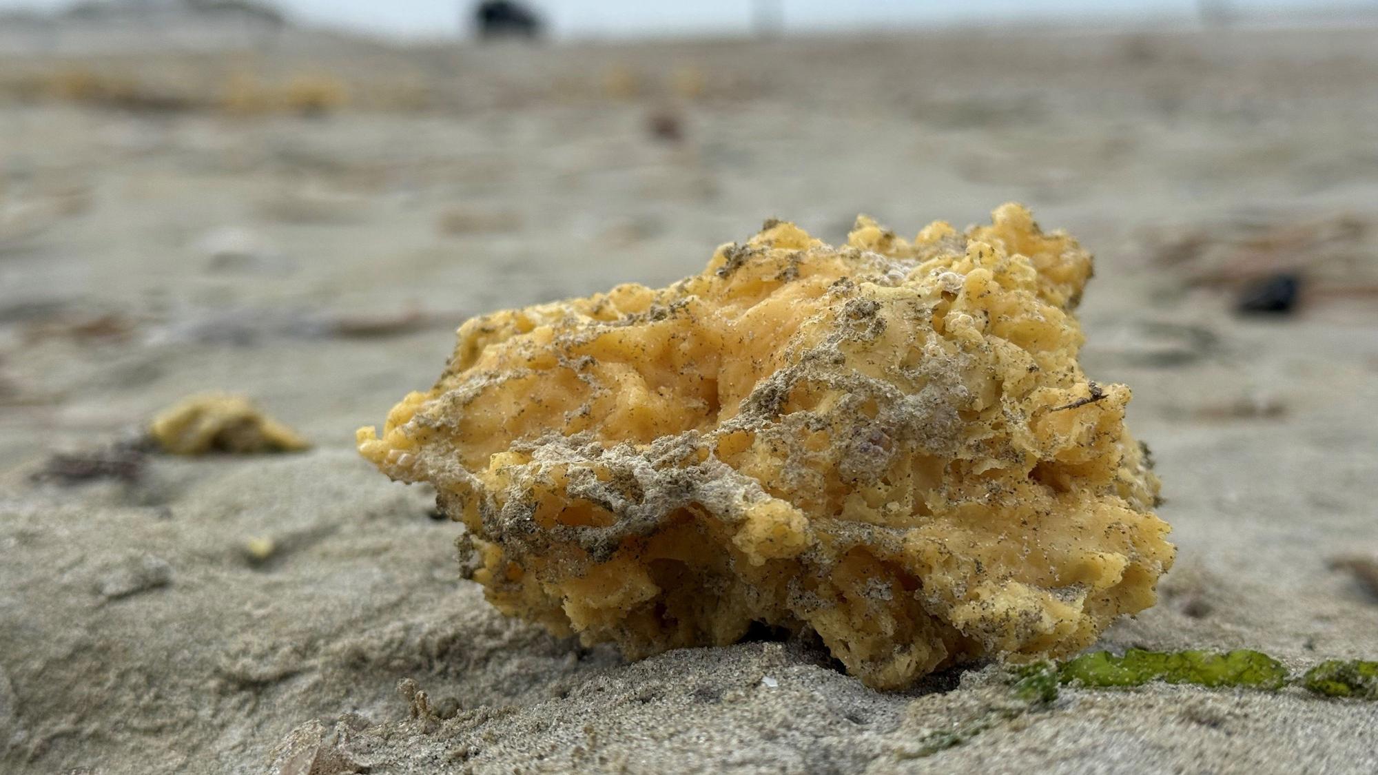 Ein gelber, wachsartiger Klumpen liegt am Nordstrand der ostfriesischen Insel Norderney. (Archivfoto vom Mai 2025)