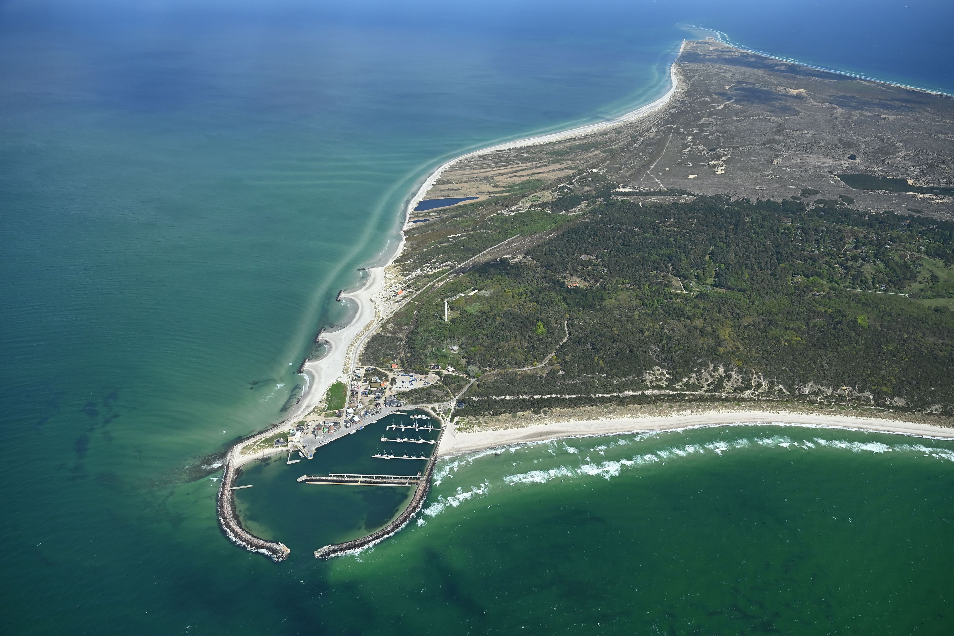 Eine Luftaufnahme zeigt die dänische Insel Anholt, vor der am Freitag ein totel Wal im Wasser treibt.