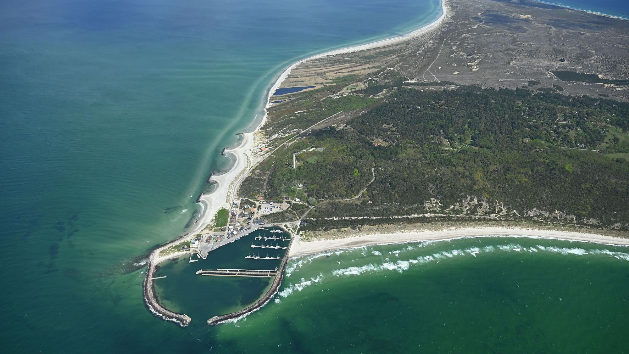 Eine Luftaufnahme zeigt die dänische Insel Anholt, vor der am Freitag ein totel Wal im Wasser treibt.