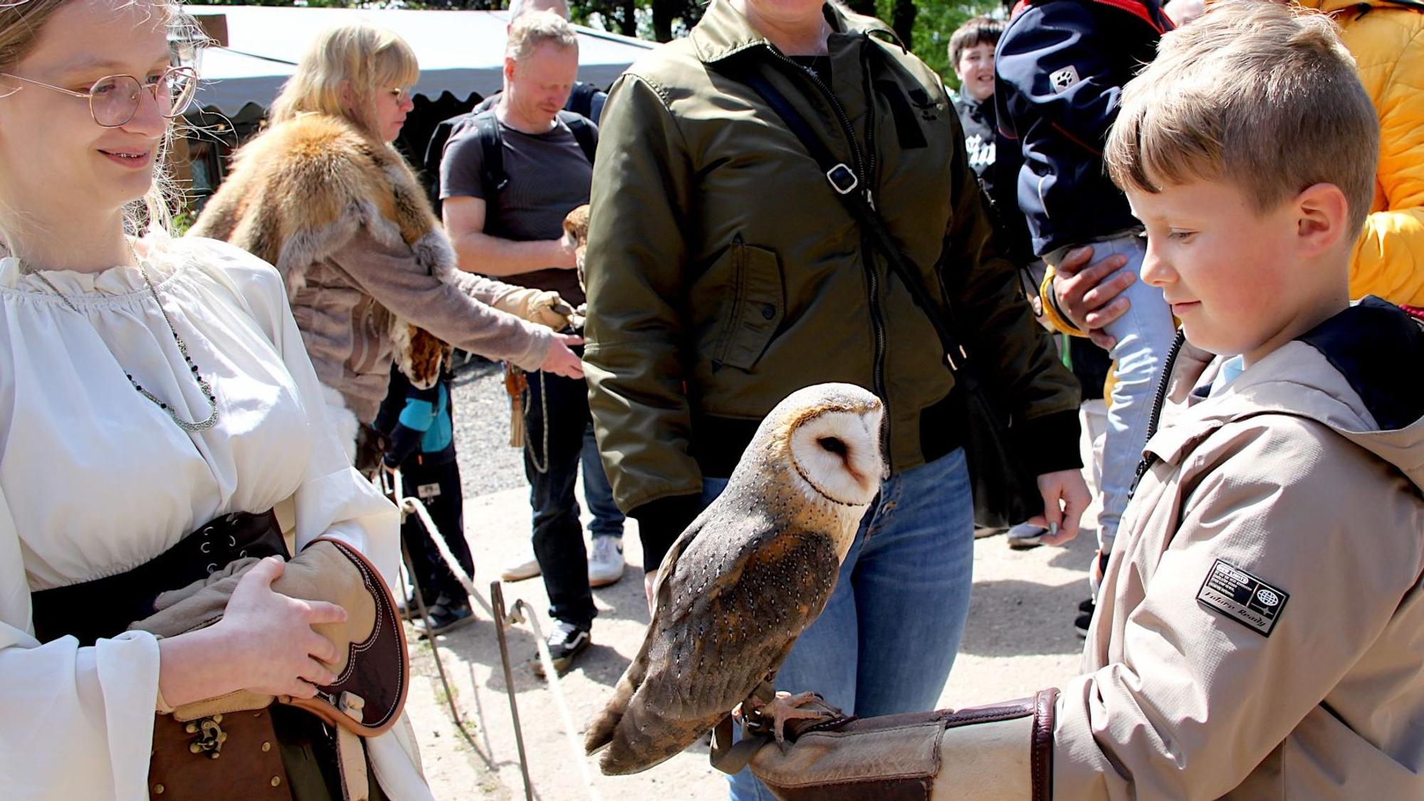 Der Junge hält auf seinem Handschuh die Schleiereule, während die mittelalterlich gekleidete Falknerin aufpasst.