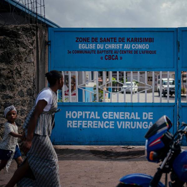 In der Demokratischen Republik Kongo starben bereits 88 mutmaßlich mit der Bundibugyo-Virusvariante infizierte Menschen