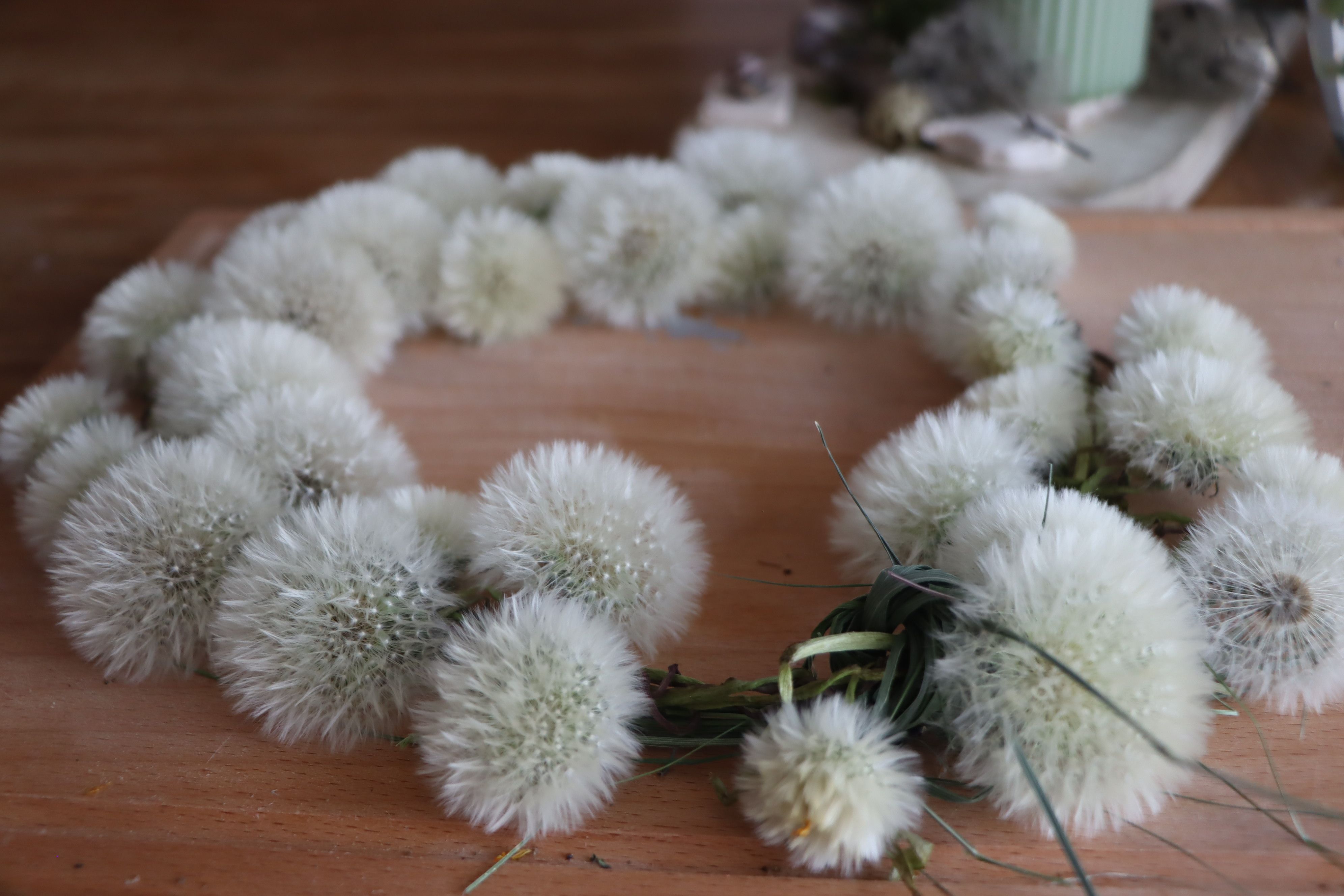 Blüten von Pusteblumen liegen als Krone geflochten auf einem Holztisch.