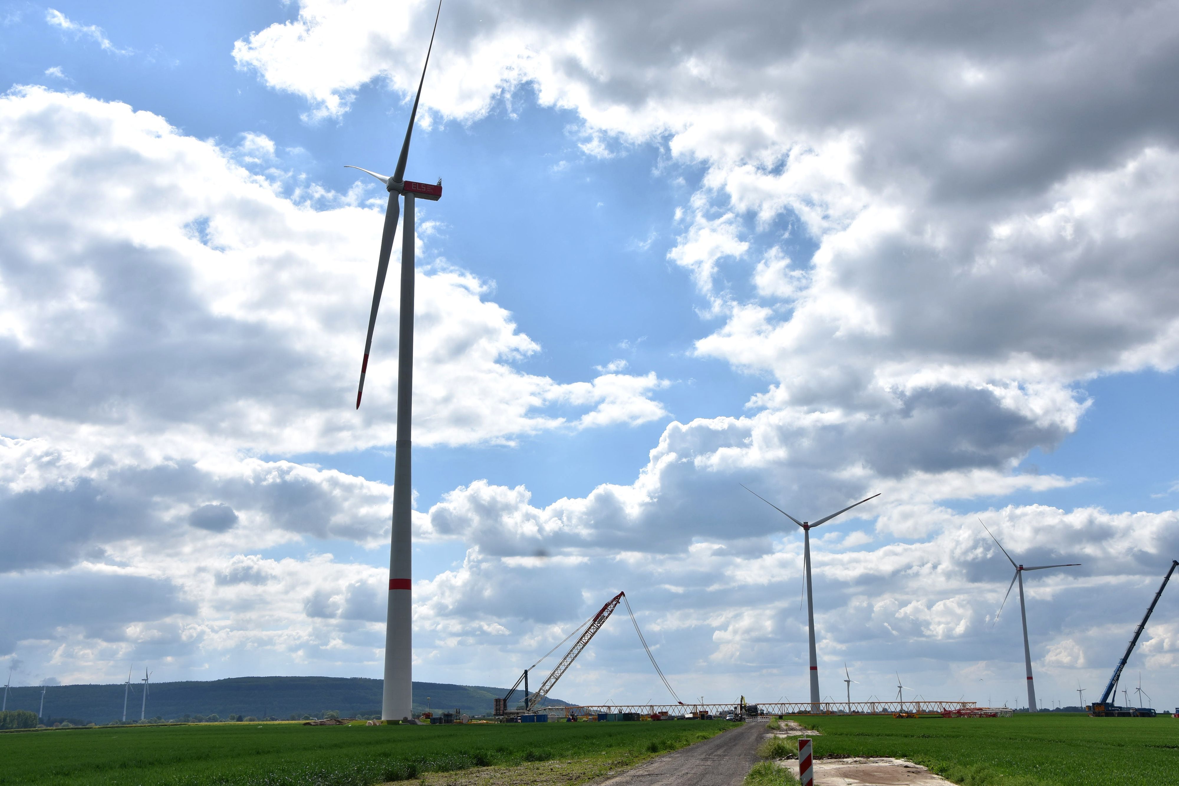 Das Foto zeigt Windräder.