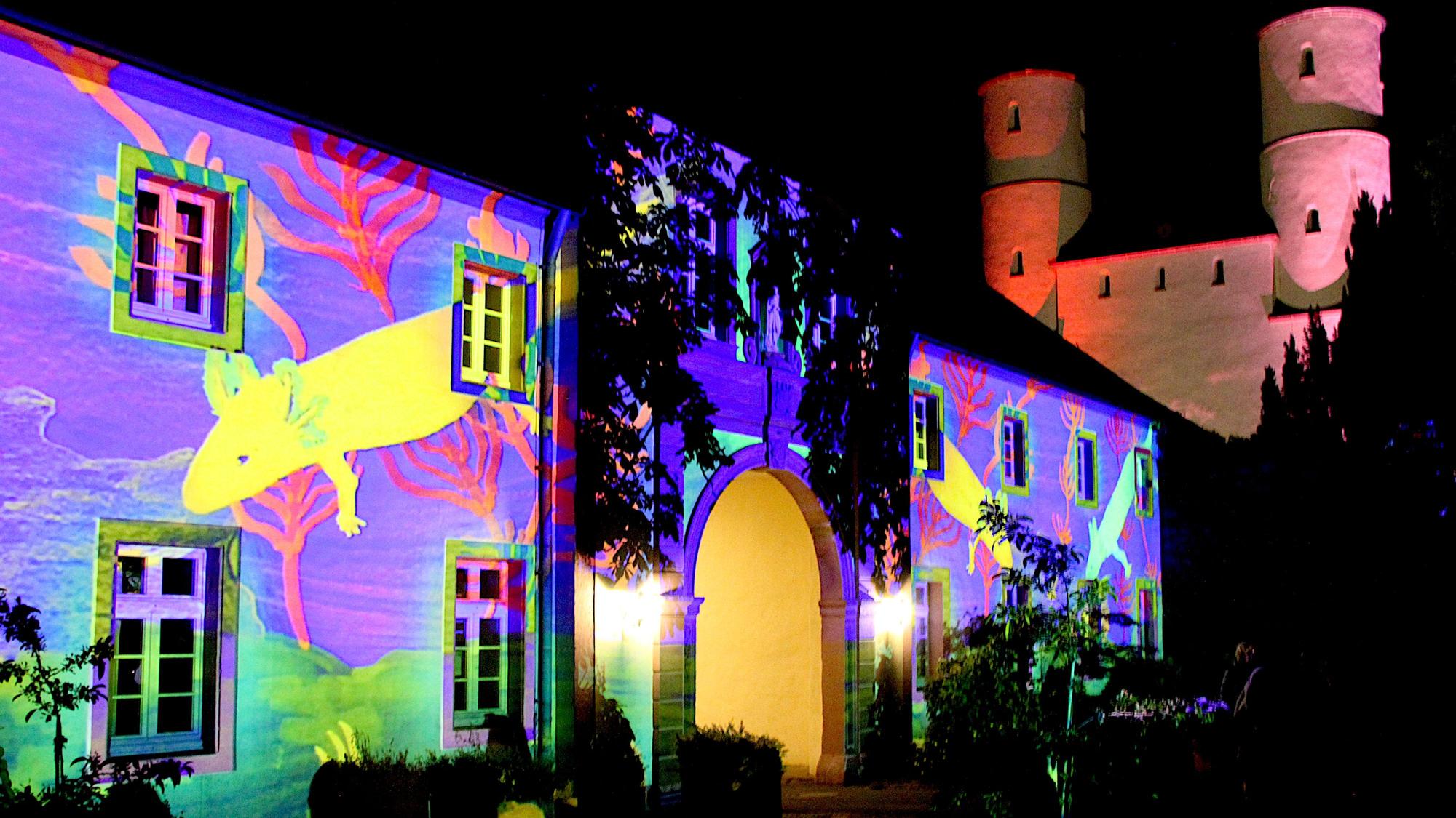Auf der Klosterfassade leuchten die Werke der Schüler in allen Farben. Im Hintergrund sind die beiden Türme des Klosters angestrahlt.