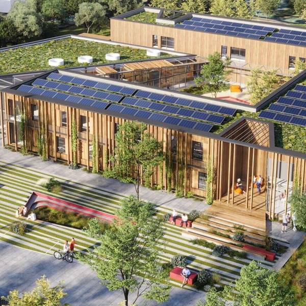 Ein Holzbau mit begrünter Fassade – so soll das neue Sportinternat aussehen.