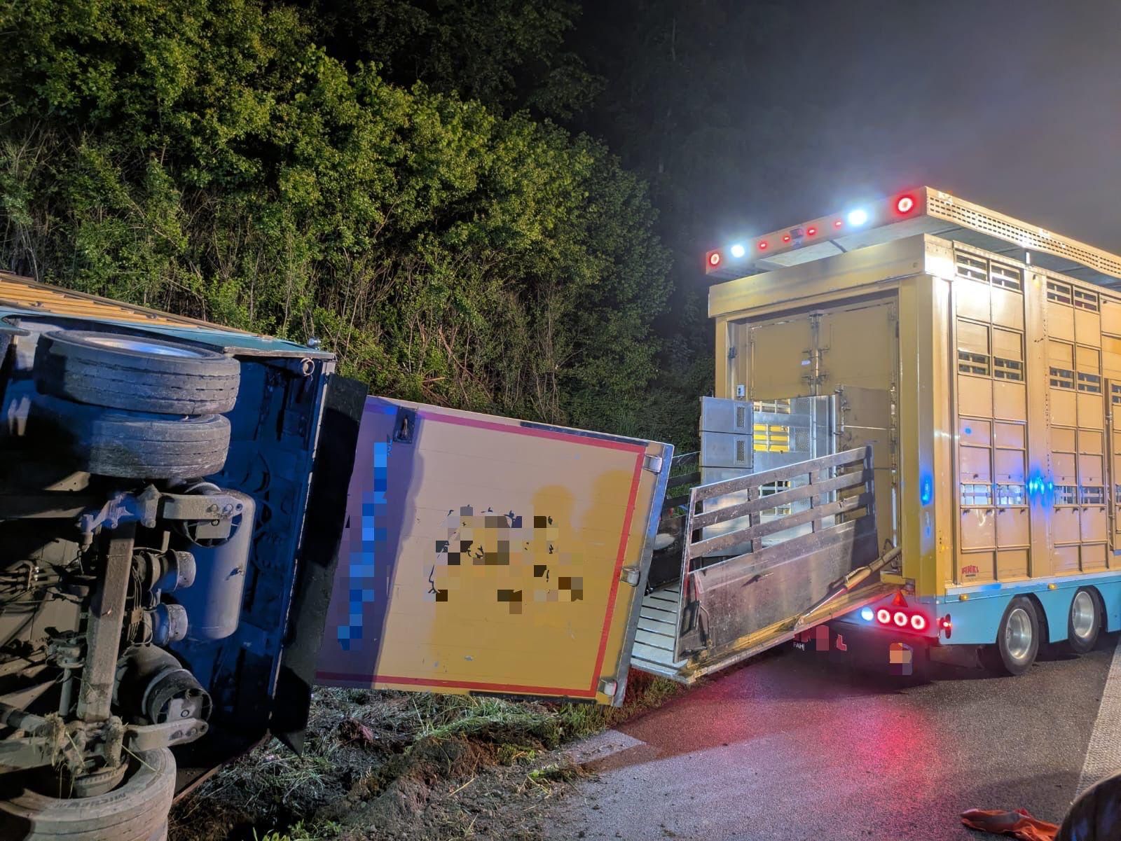 Zwei Tiertransporter stehen an der A1 bei Wermelskirchen. Einer ist auf die Seite gekippt.