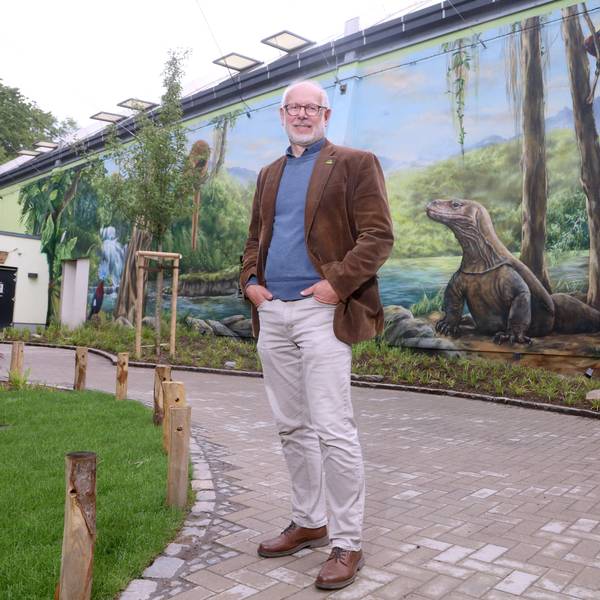 Zoodirektor Theo Pagel vor der Komodowaran-Fassade des sanierten Drachenhauses.