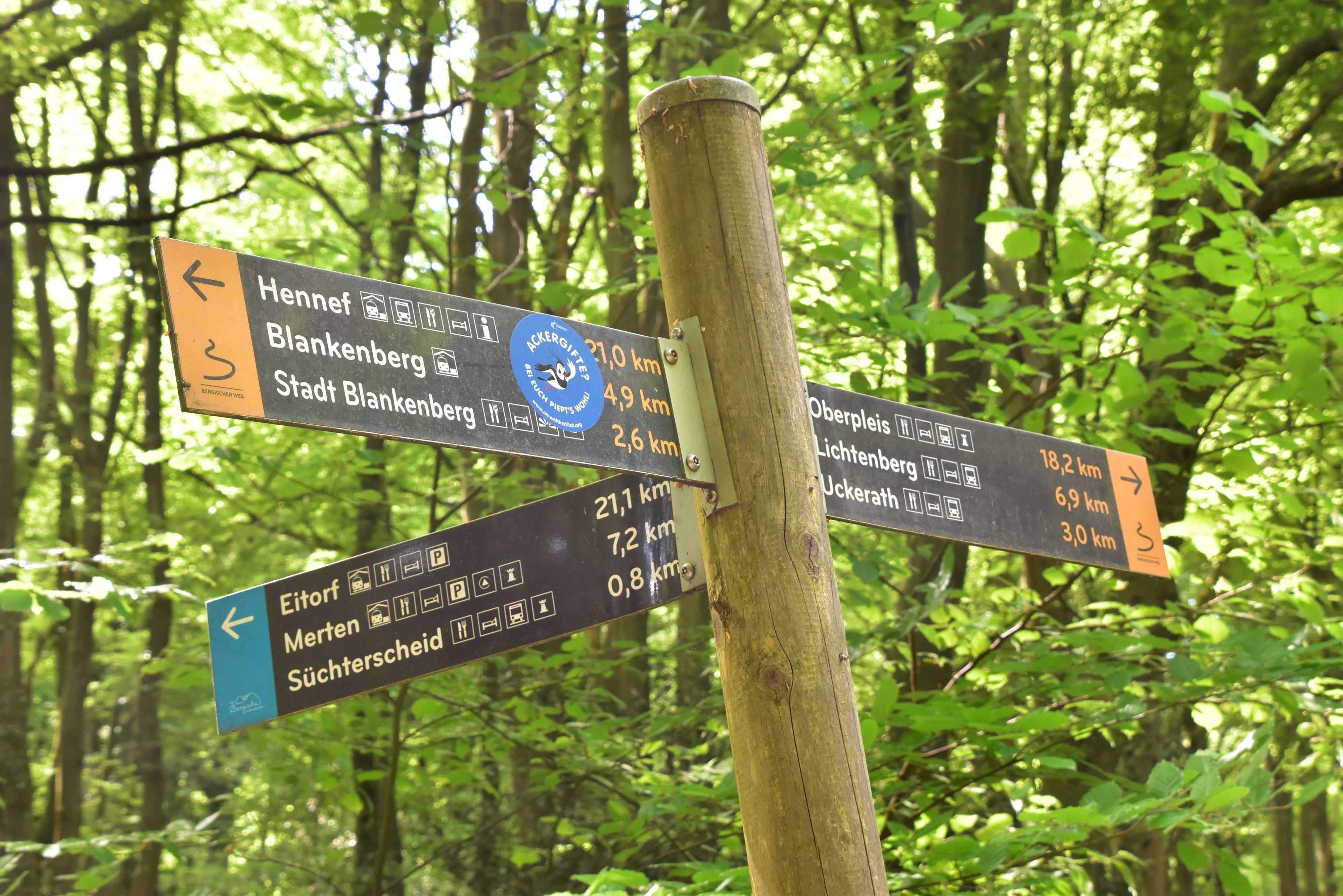 Wegweiser an einer Kreuzung von Wanderwegen.