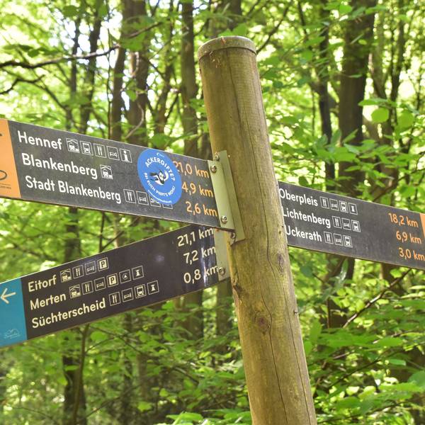 Wegweiser an einer Kreuzung von Wanderwegen.