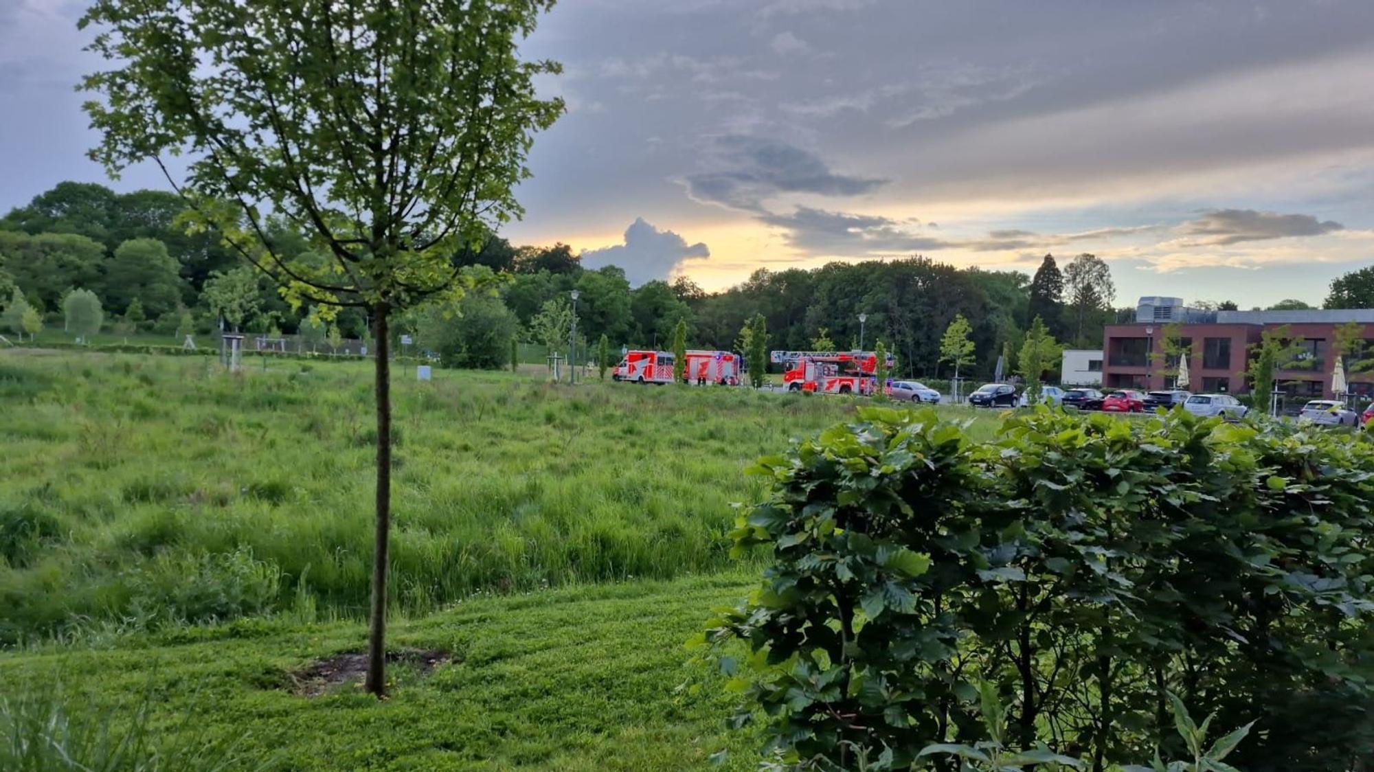 Krankenwagen und Feuerwehrwagen in einer grünen Landschaft