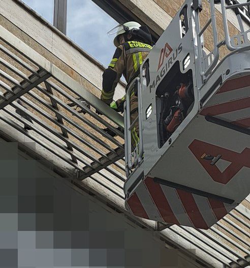 Tauben haben sich in einem Netz in Euskirchen verfangen und wurden von der Feuerwehr befreit.