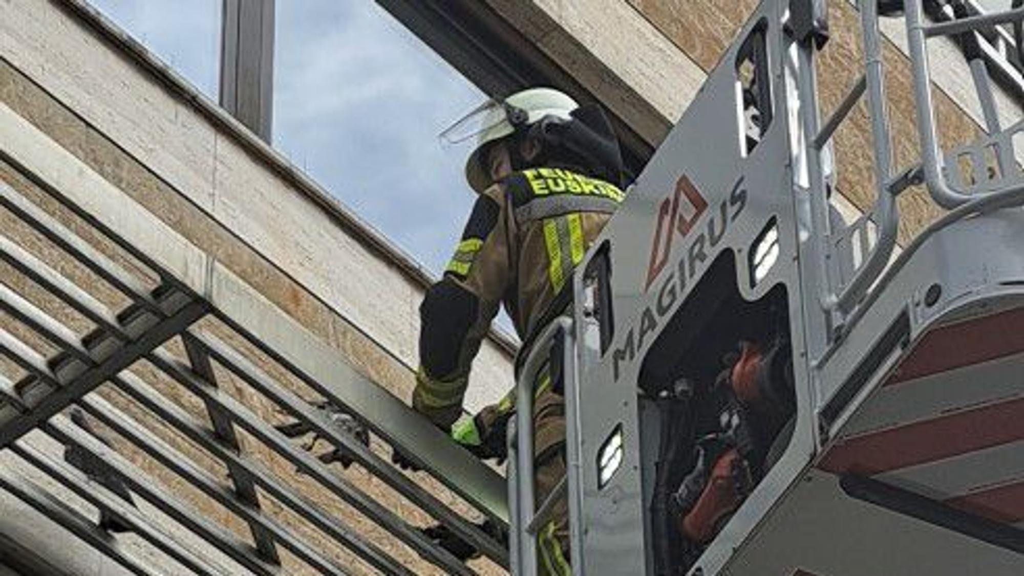 Tauben haben sich in einem Netz in Euskirchen verfangen und wurden von der Feuerwehr befreit.