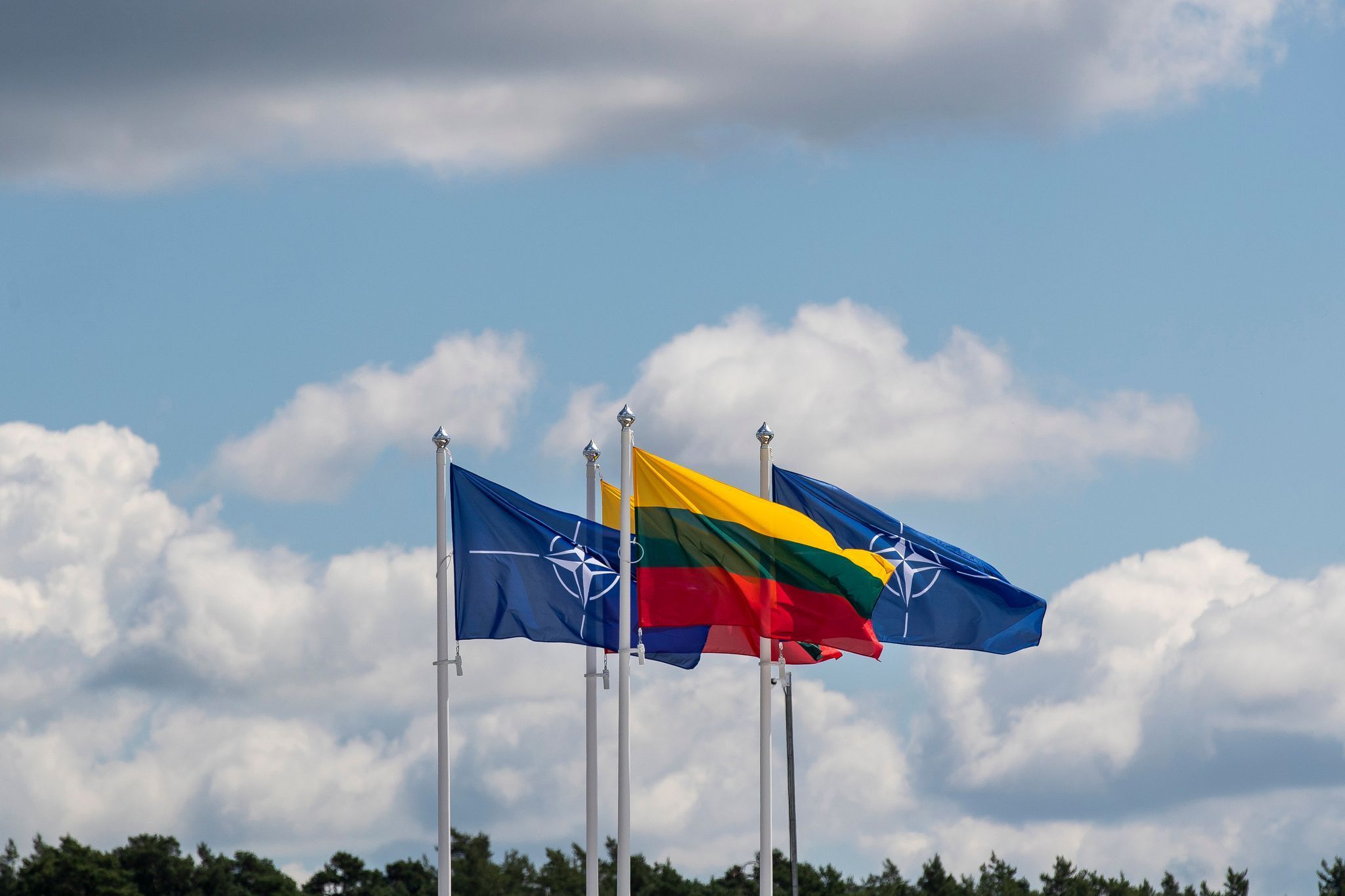 Litauische Flagge