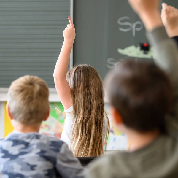 Schüler melden sich im Unterricht. (Symbolbild)