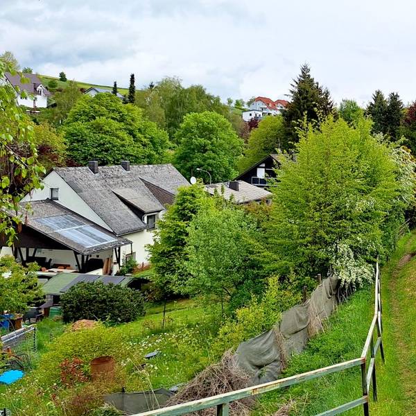 Zwischen den Bahngleisen rechts im Bild, auf denen ein roter Zug fährt, und einem Wohngebiet links führt ein schmaler Pfad über eine Wiese.