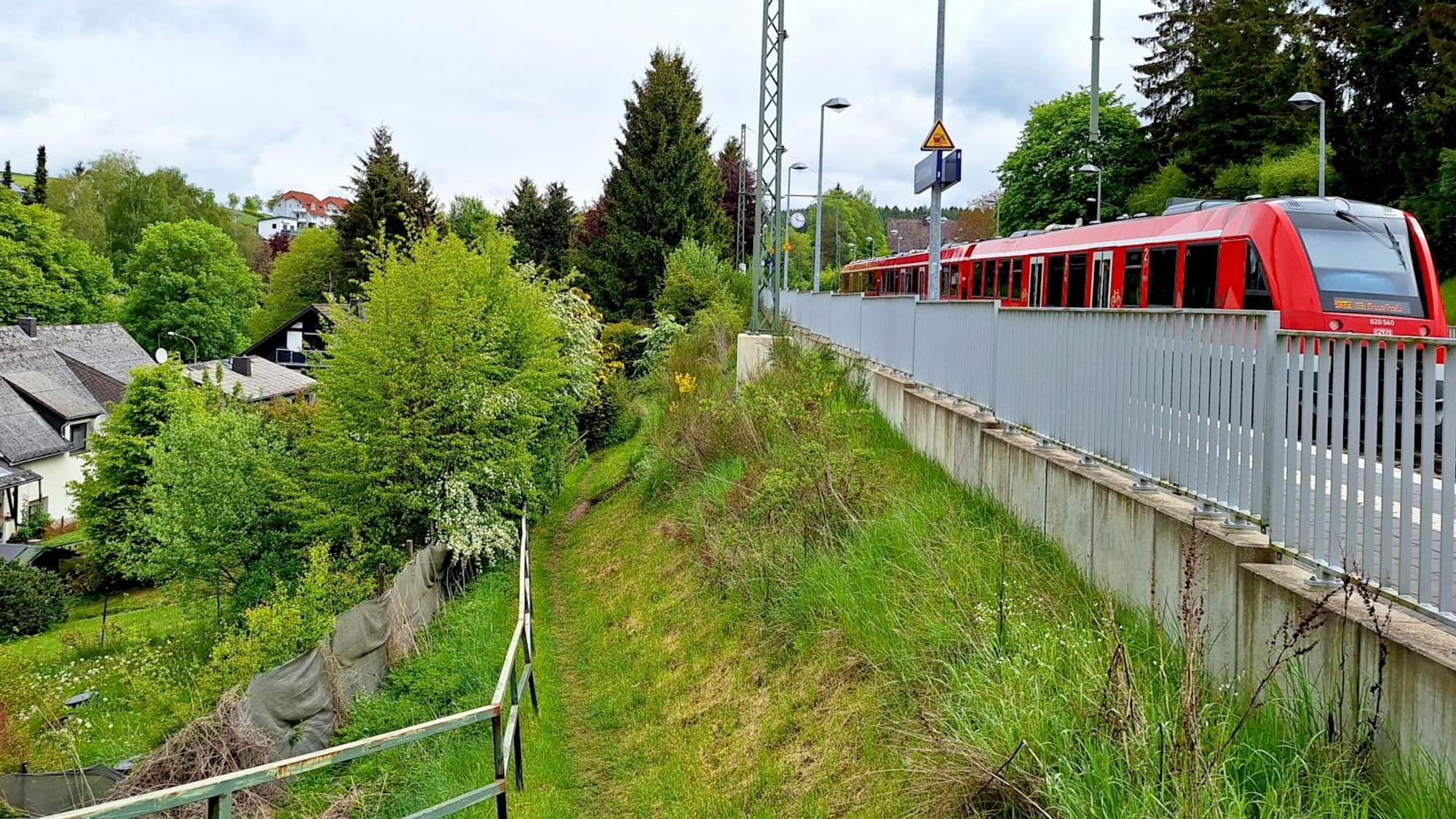 Zwischen den Bahngleisen rechts im Bild, auf denen ein roter Zug fährt, und einem Wohngebiet links führt ein schmaler Pfad über eine Wiese.