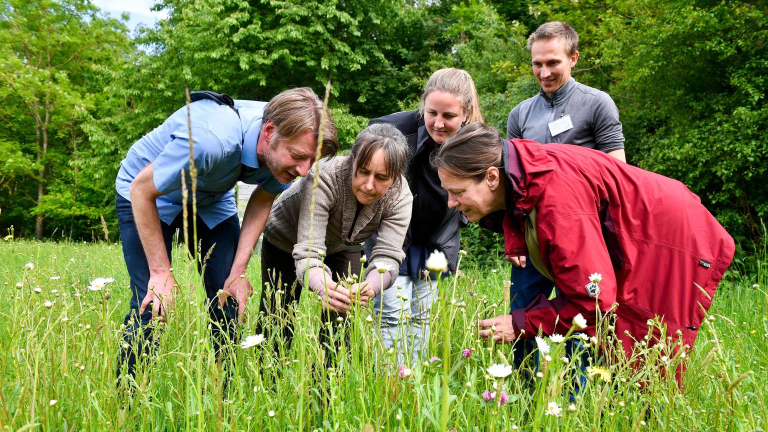 Das Bild zeigt die Begleiter des Projektes, während sie Blumen auf einer Wiese begutachten.