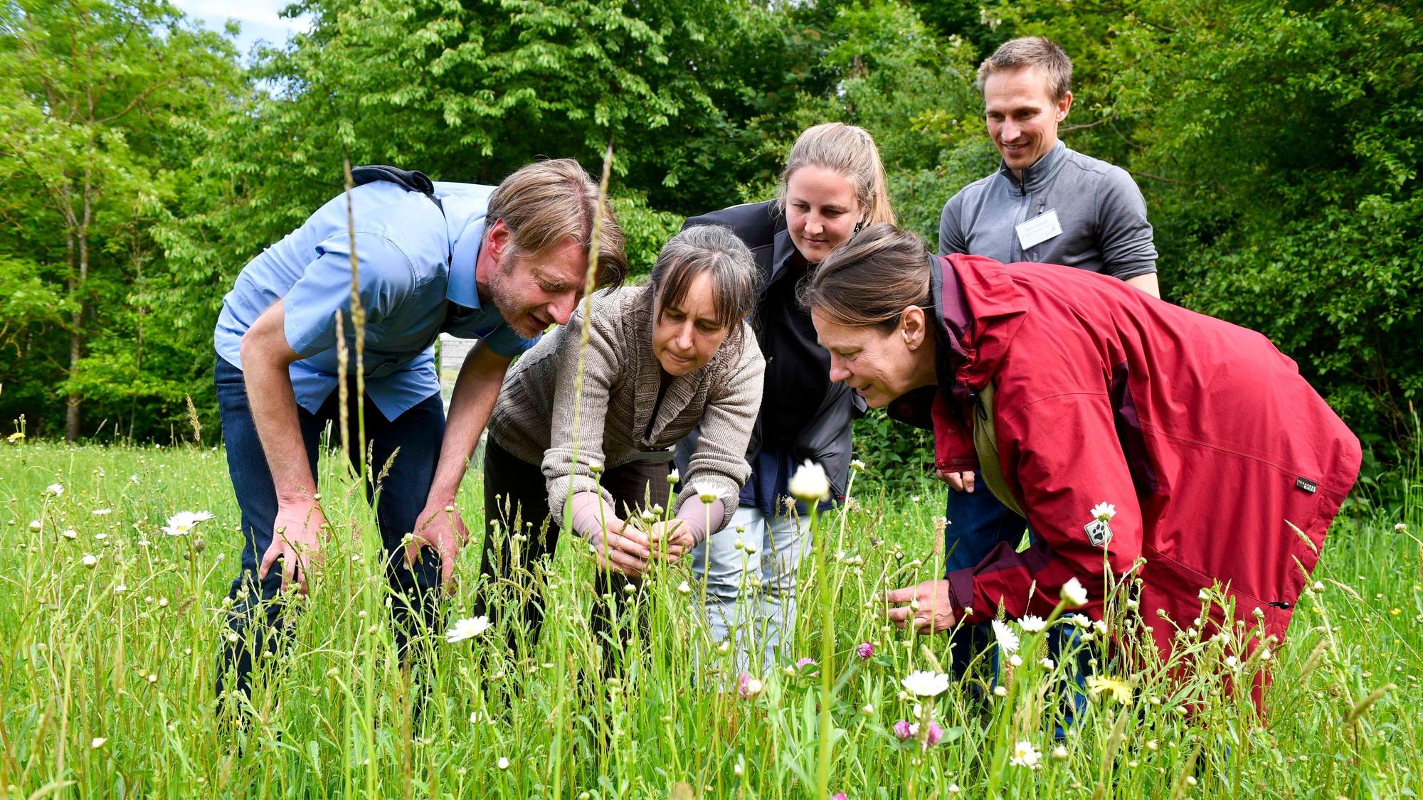 Das Bild zeigt die Begleiter des Projektes, während sie Blumen auf einer Wiese begutachten.
