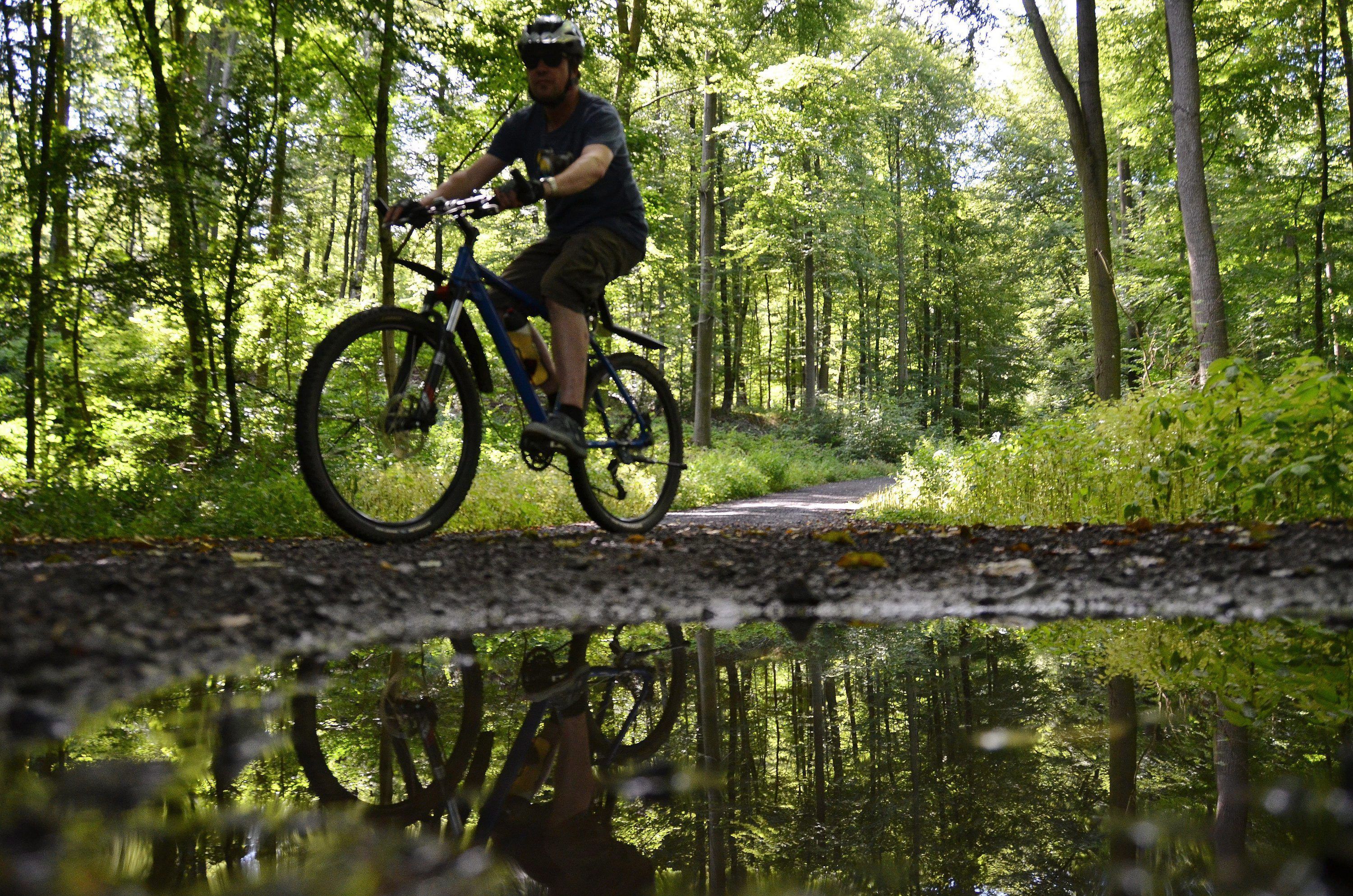 Ein Radfahrer ist auf eibem schmalen Waldweg unterwegs. Umweltschützer beklagen, dass die Natur Schaden nehmen kann.