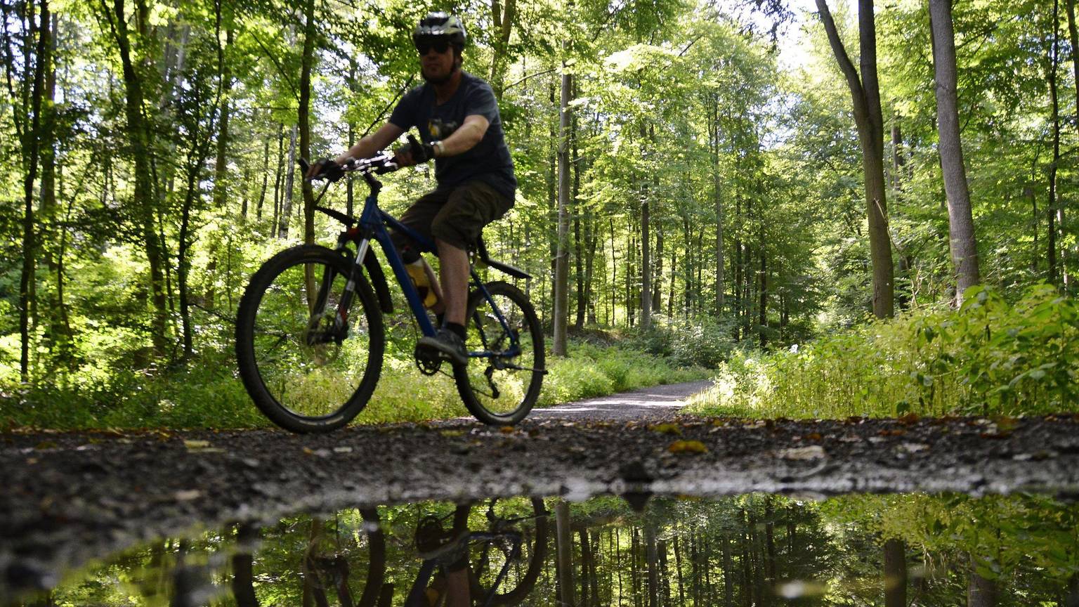 Ein Radfahrer ist auf eibem schmalen Waldweg unterwegs. Umweltschützer beklagen, dass die Natur Schaden nehmen kann.