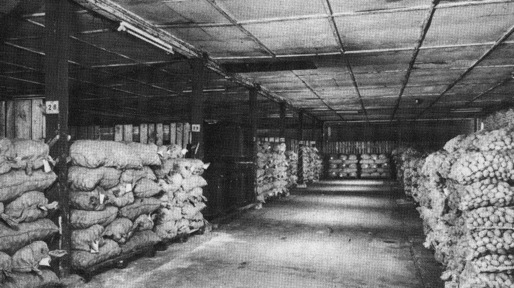 Kurt Erlers Kartoffellanger im Mülheimer Hafen