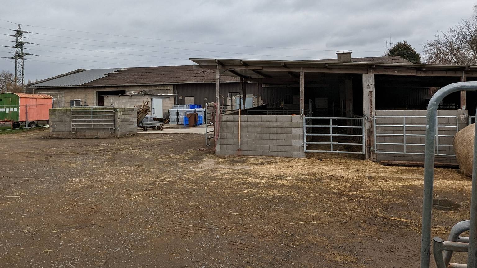 Der Schlachthof in Hürth-Fischenich war nach Bekanntwerden der Vorwürfe vom Veterinäramt des Kreises geschlossen worden.
