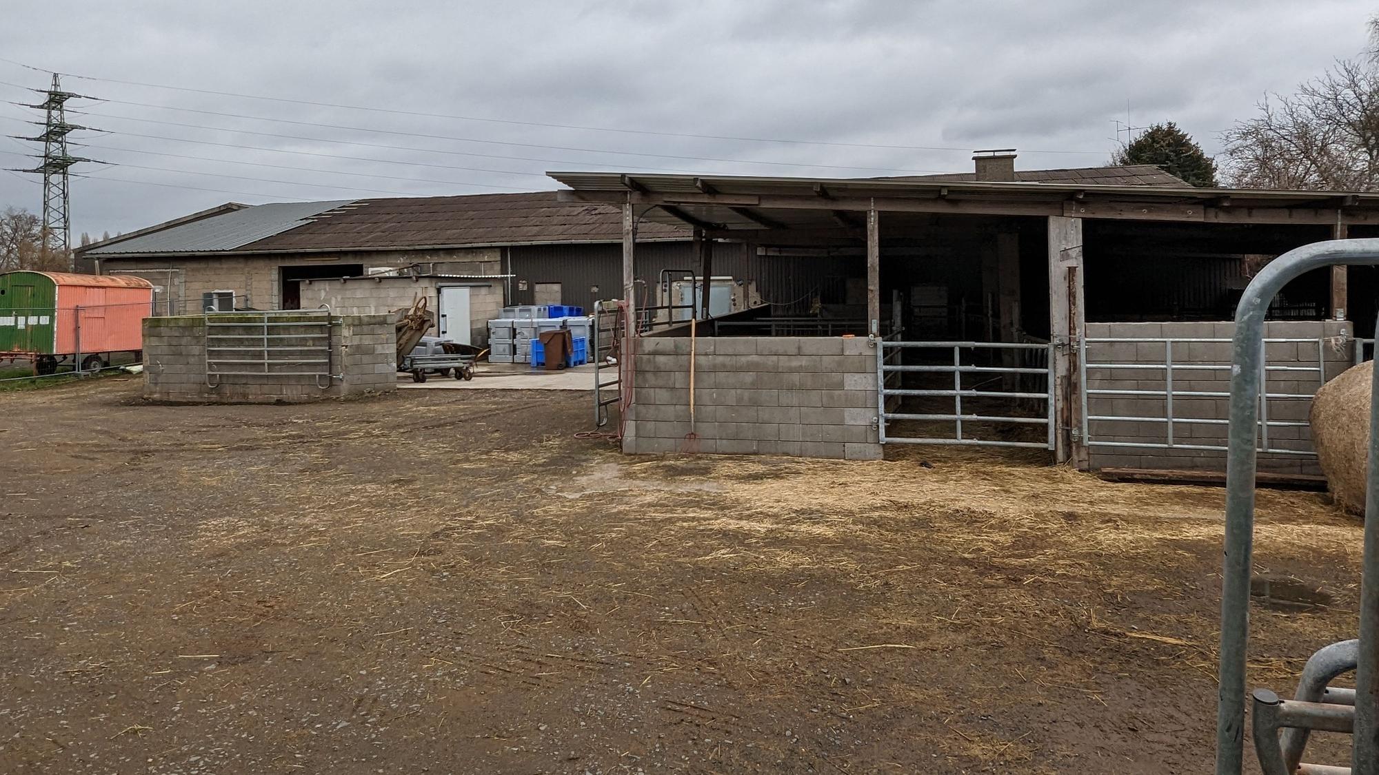 Der Schlachthof in Hürth-Fischenich war nach Bekanntwerden der Vorwürfe vom Veterinäramt des Kreises geschlossen worden.