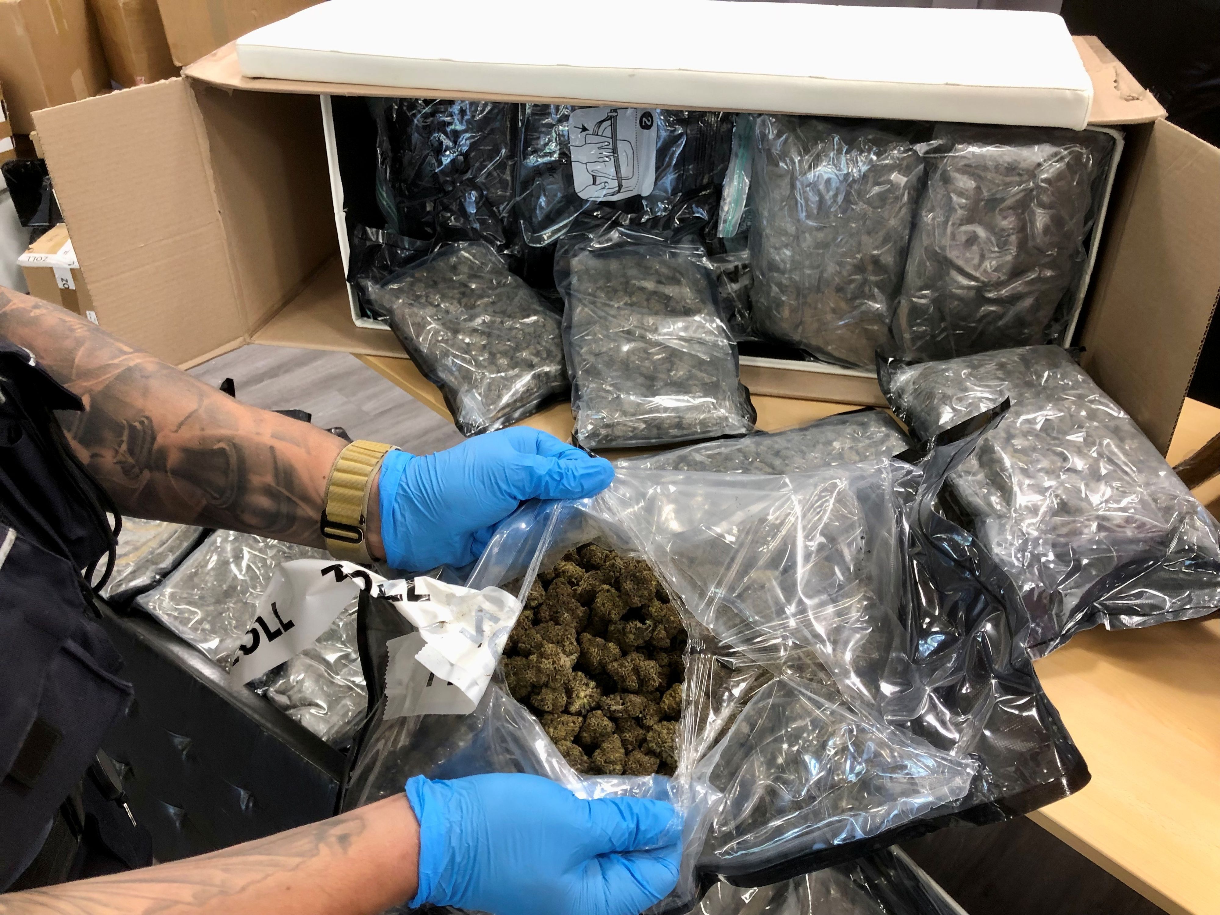 Ein Zollbeamter zeigt einen geöffneten Beutel mit Marihuana.