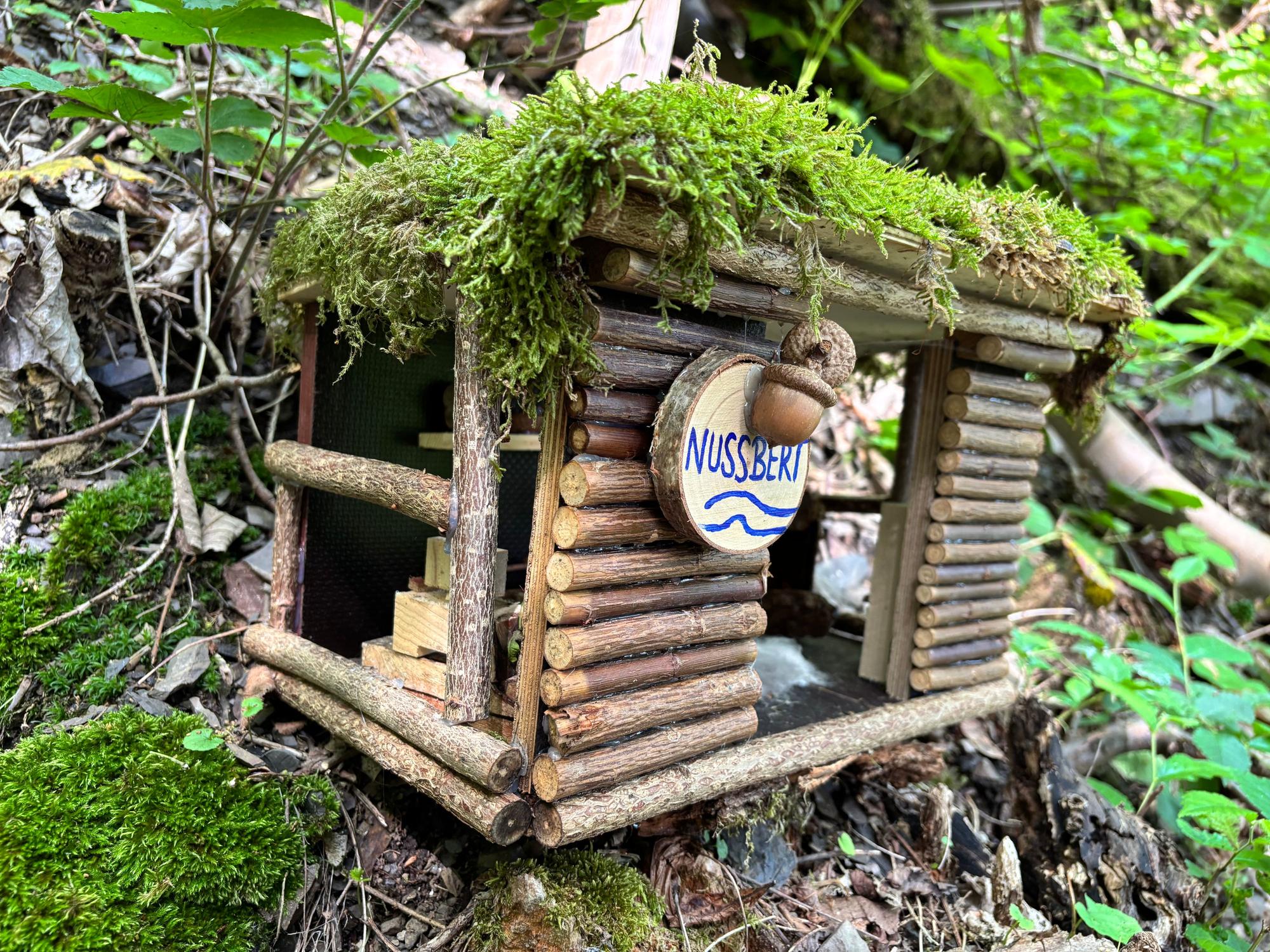 Ein Häusschen „Nussbert“ steht im Moos am Wegesrand.