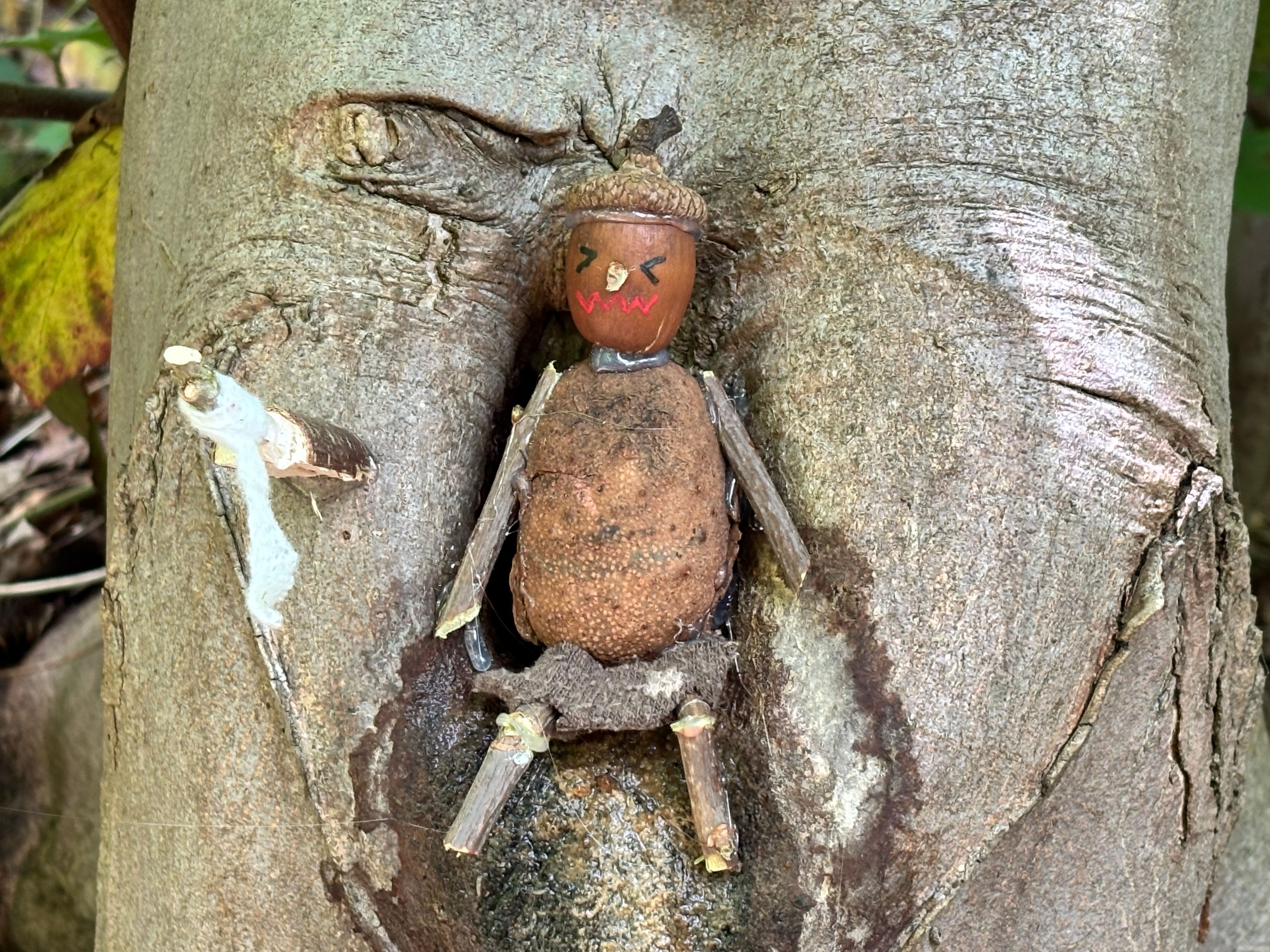 Ein Wichtel mit zusammengekniffenen Augen sitzt in einem Astloch. Neben ihm ist eine kleine Toilettenrolle angebracht.