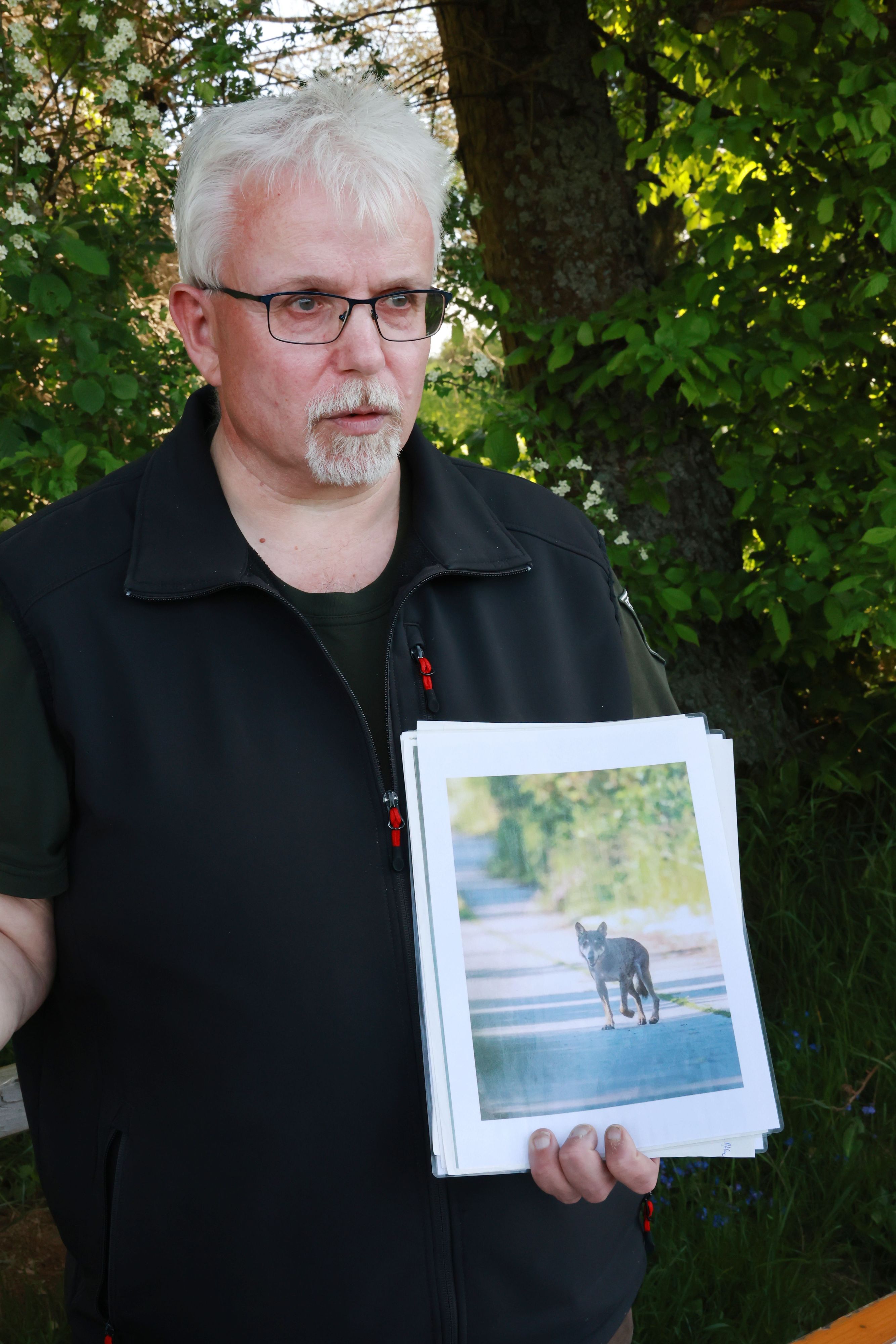 Der Förster hält ein Foto, das den Wolfsrüden zeigt.