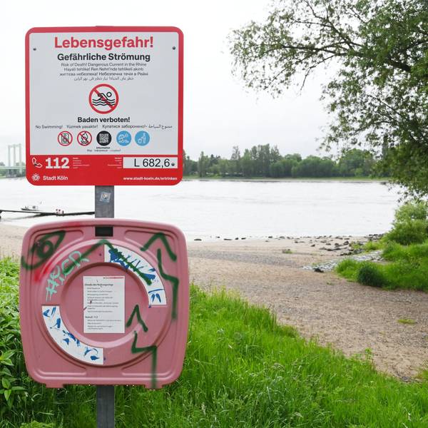 20.05.2026 Köln. Am Rheinufer stehen neue Schilder, die auf das Badeverbot im Rhein hinweisen. Die Stadt hatte das Schwimmen im Fluss im letzten Jahr verboten. Während auf den Tafeln bislang nur ein Warnezeichen abgebildet war, zeigt es nun Verbotszeichen. Rodenkirchen. Foto: Alexander Schwaiger