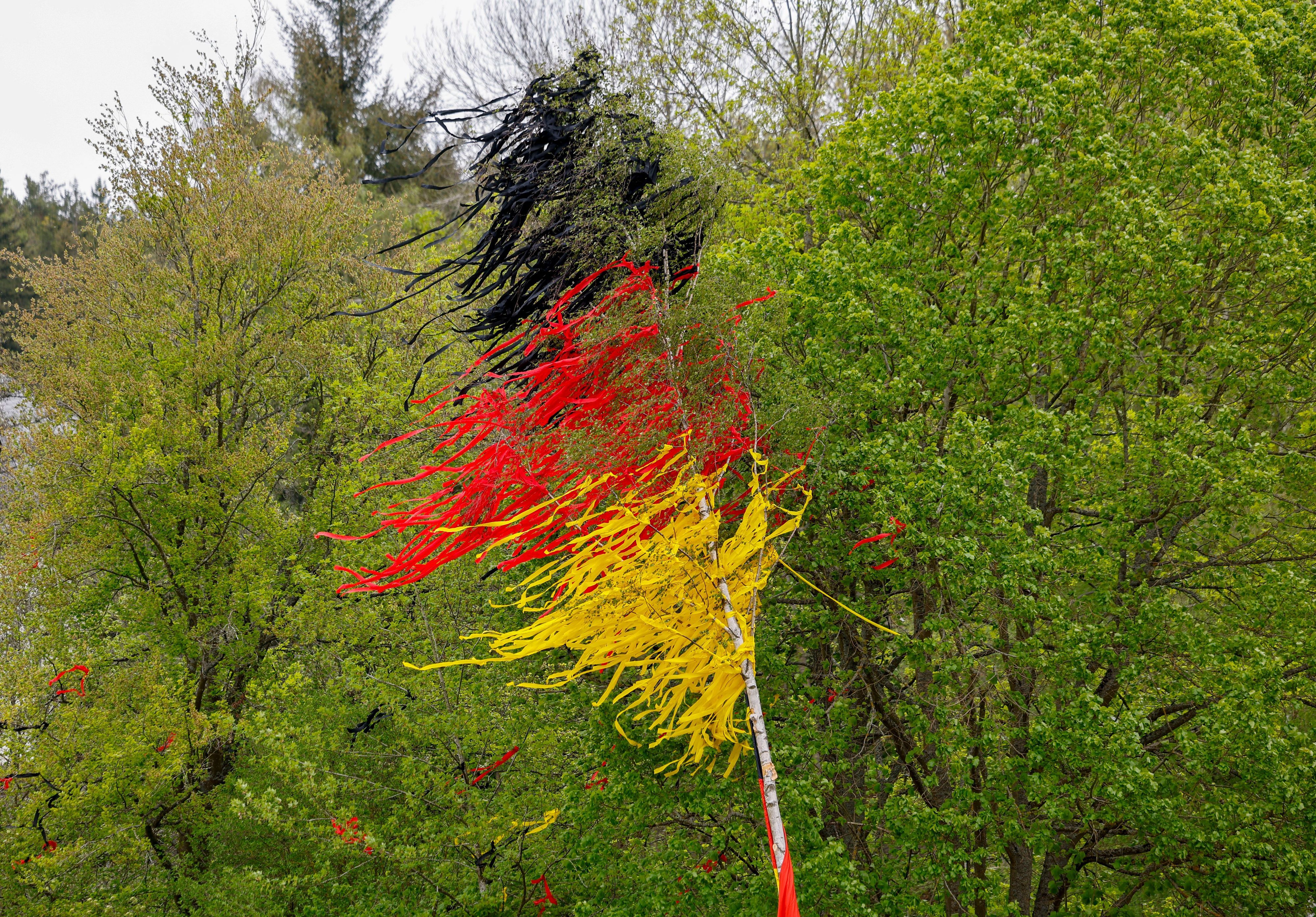 03.05.2026, Nordrhein-Westfalen, Schleiden: Ein Maibaum geschmückt mit Bändern in den Farben Schwarz Rot Gold steht auf einem Platz. Foto: Thomas Banneyer/dpa +++ dpa-Bildfunk +++