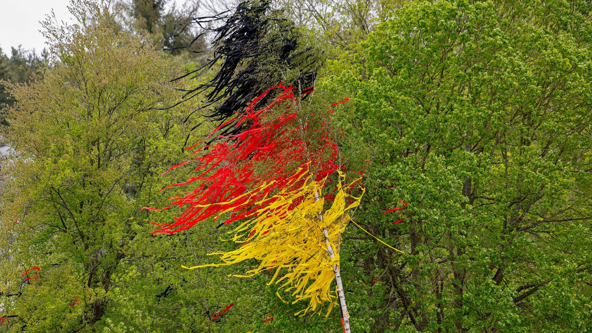 03.05.2026, Nordrhein-Westfalen, Schleiden: Ein Maibaum geschmückt mit Bändern in den Farben Schwarz Rot Gold steht auf einem Platz. Foto: Thomas Banneyer/dpa +++ dpa-Bildfunk +++