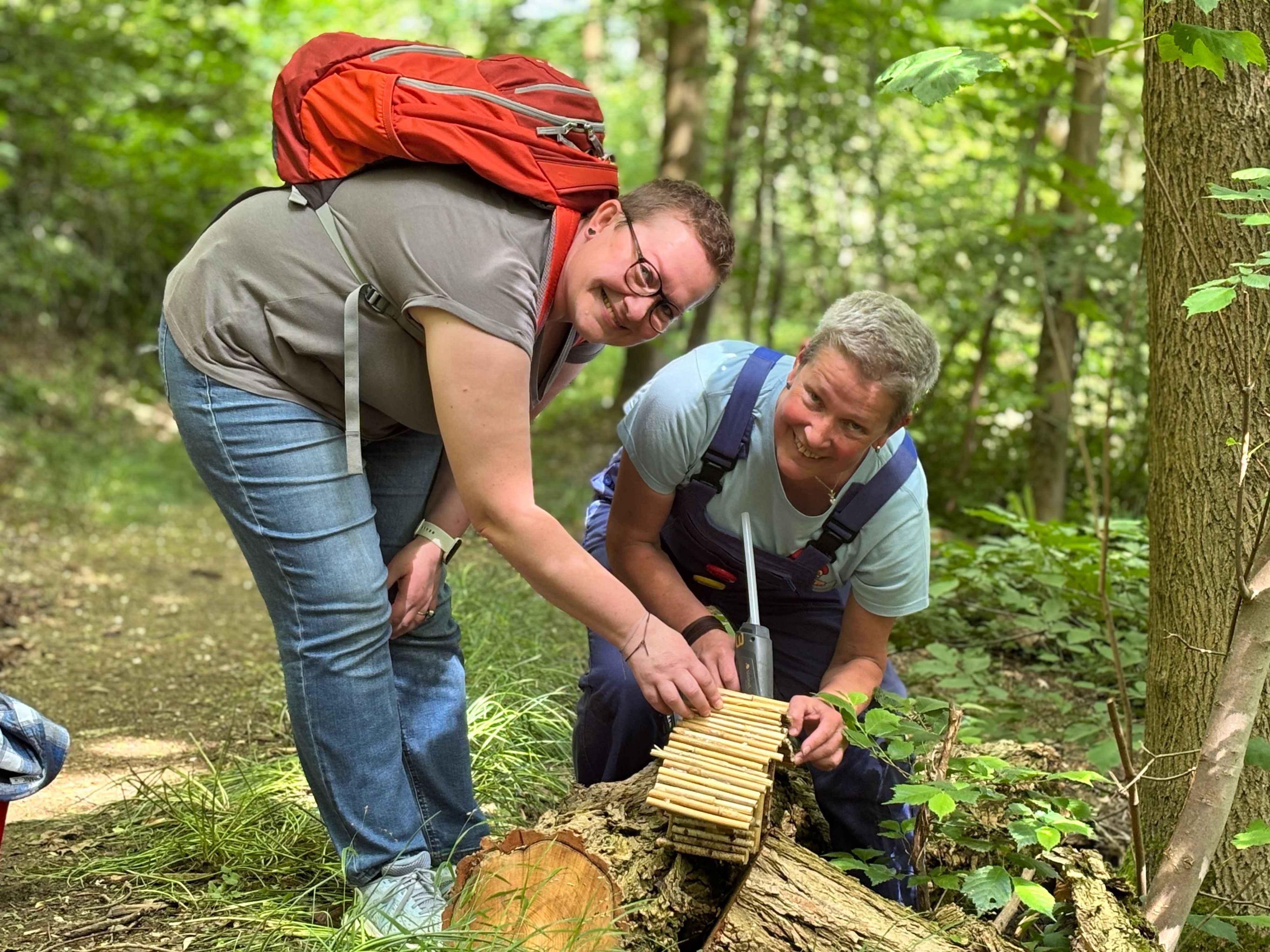 Die Obengenannten kleben ein Häuschen in einem Wald mit einer Klebepistole fest und lächeln in die Kamera.