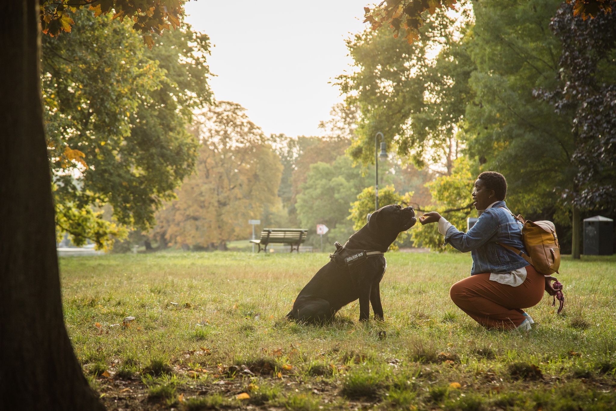 Eine Frau gibt einem Hund Kommandos