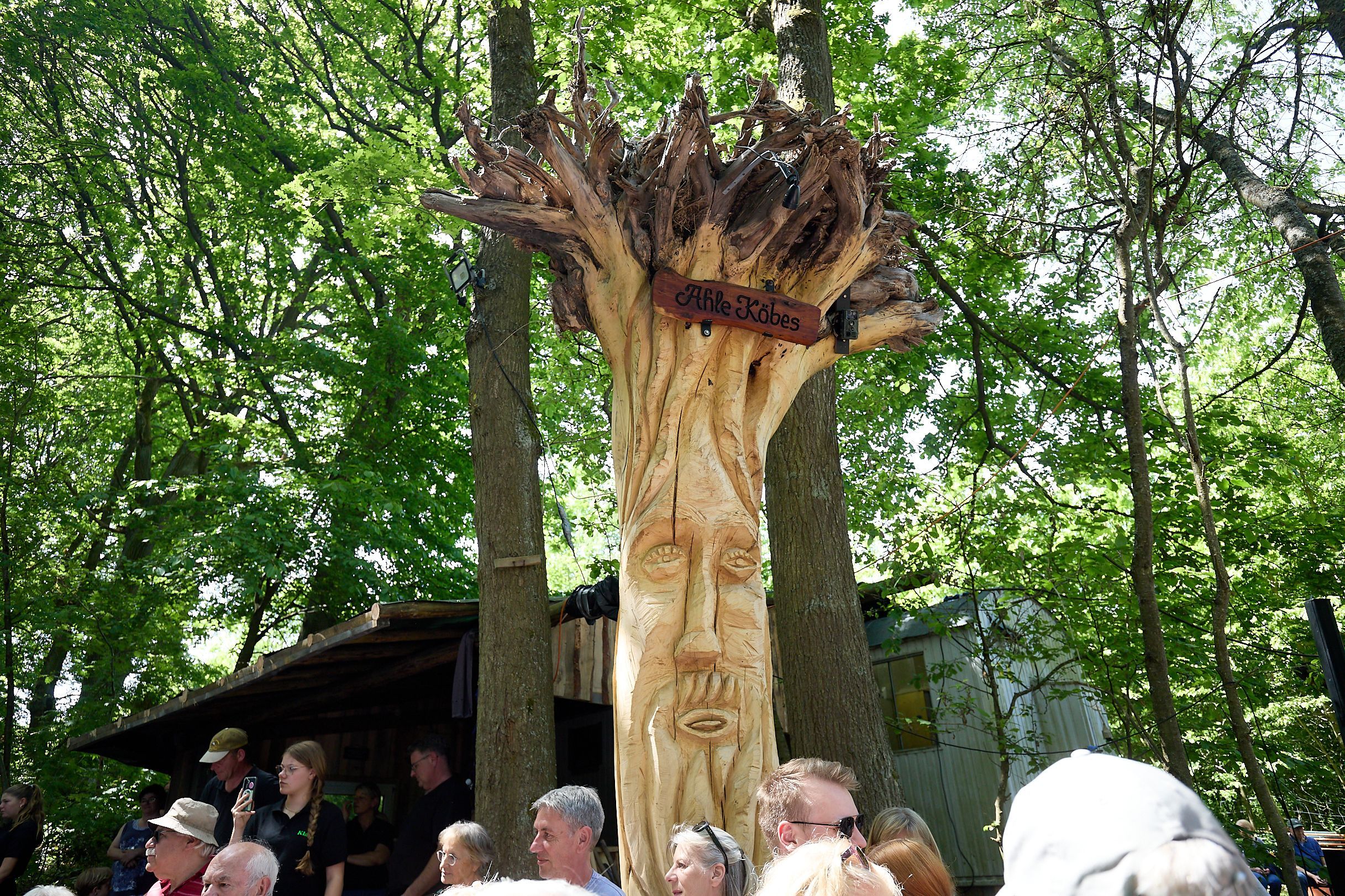 Das Bild zeigt einen hohen Baumstamm, in den ein Gesicht gehauen wurde.
