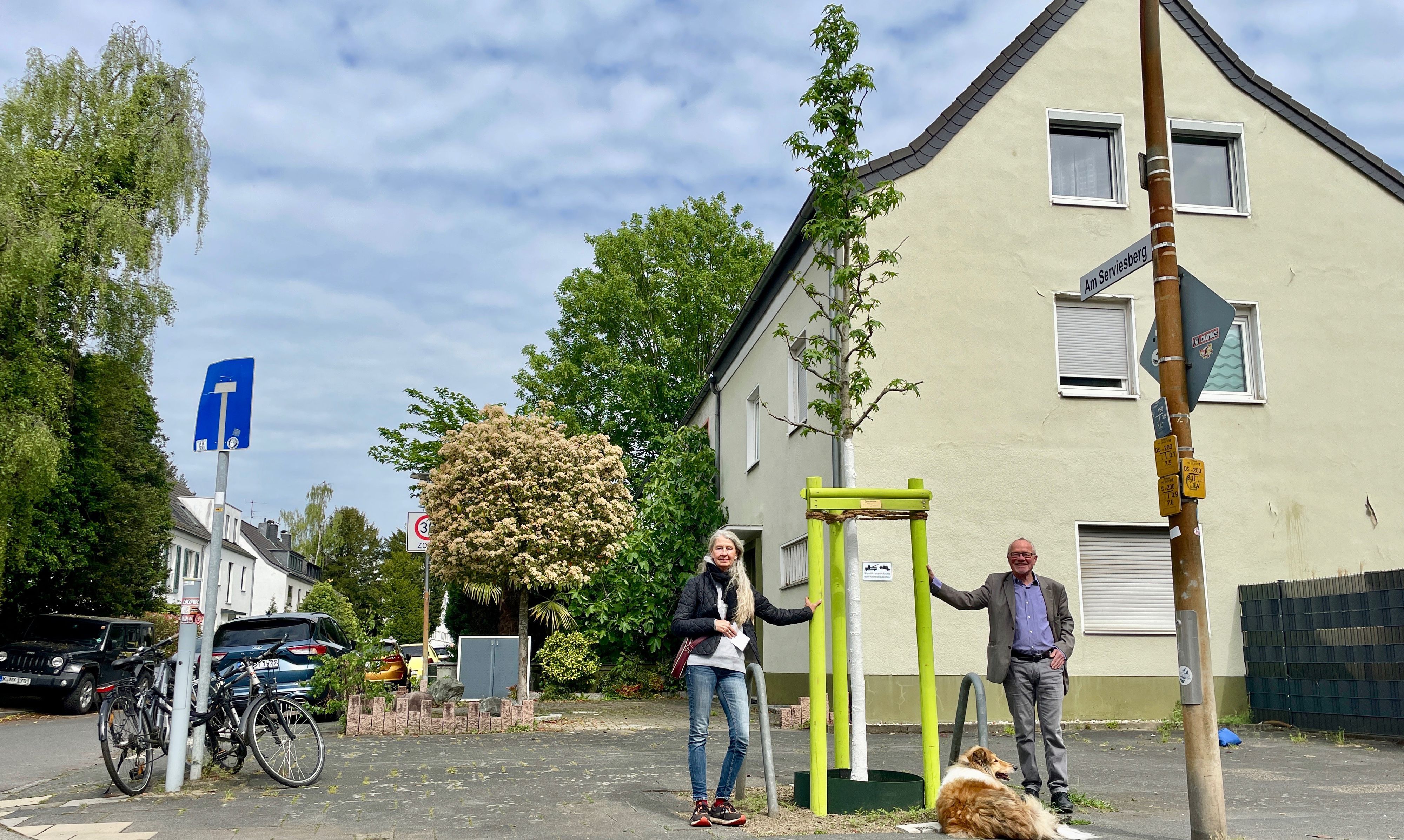 Ein Mann und eine Frau stehen links und rechts von einem jungen Baum.